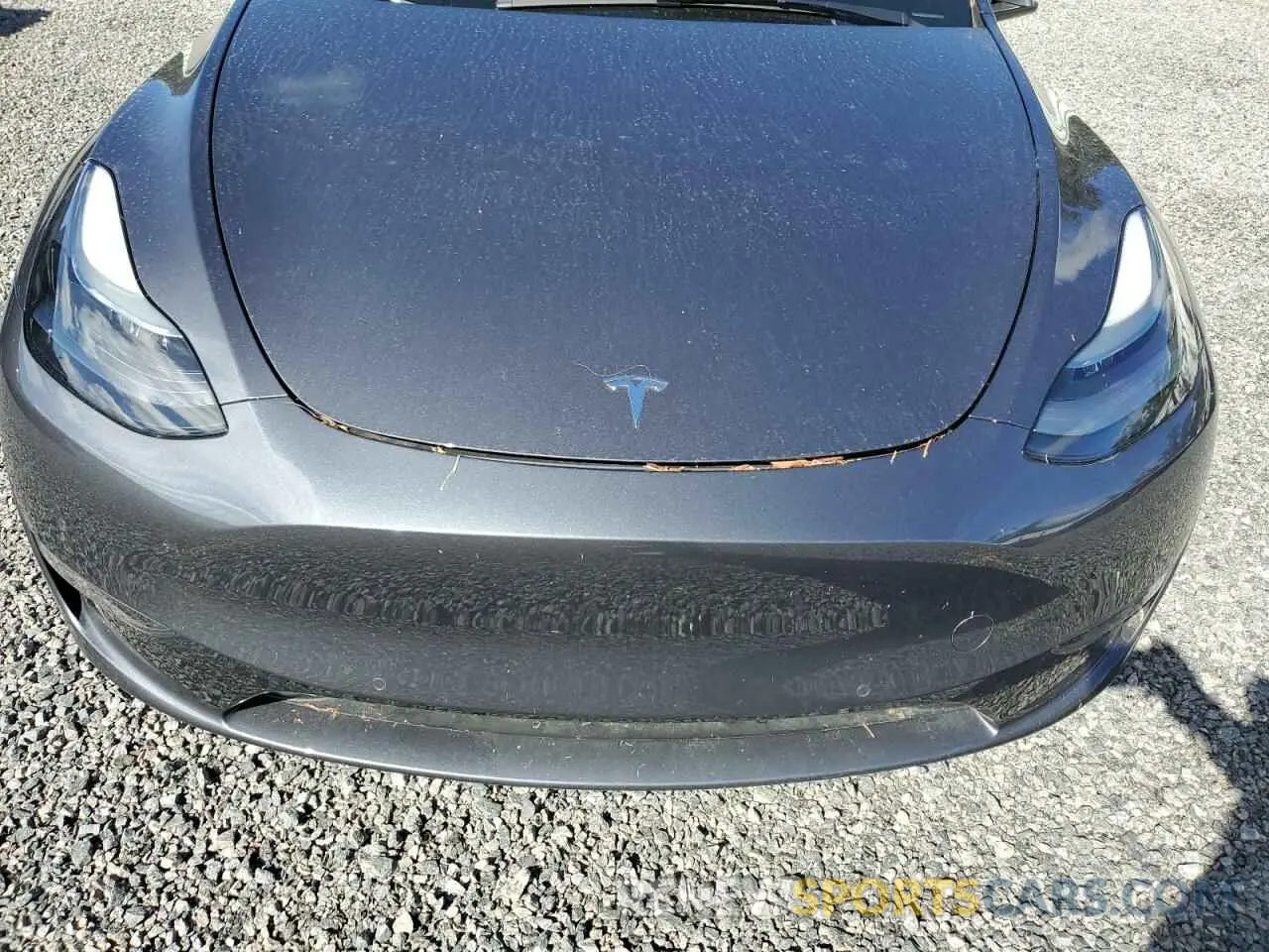 12 Photograph of a damaged car 7SAYGDEF3NF337180 TESLA MODEL Y 2022