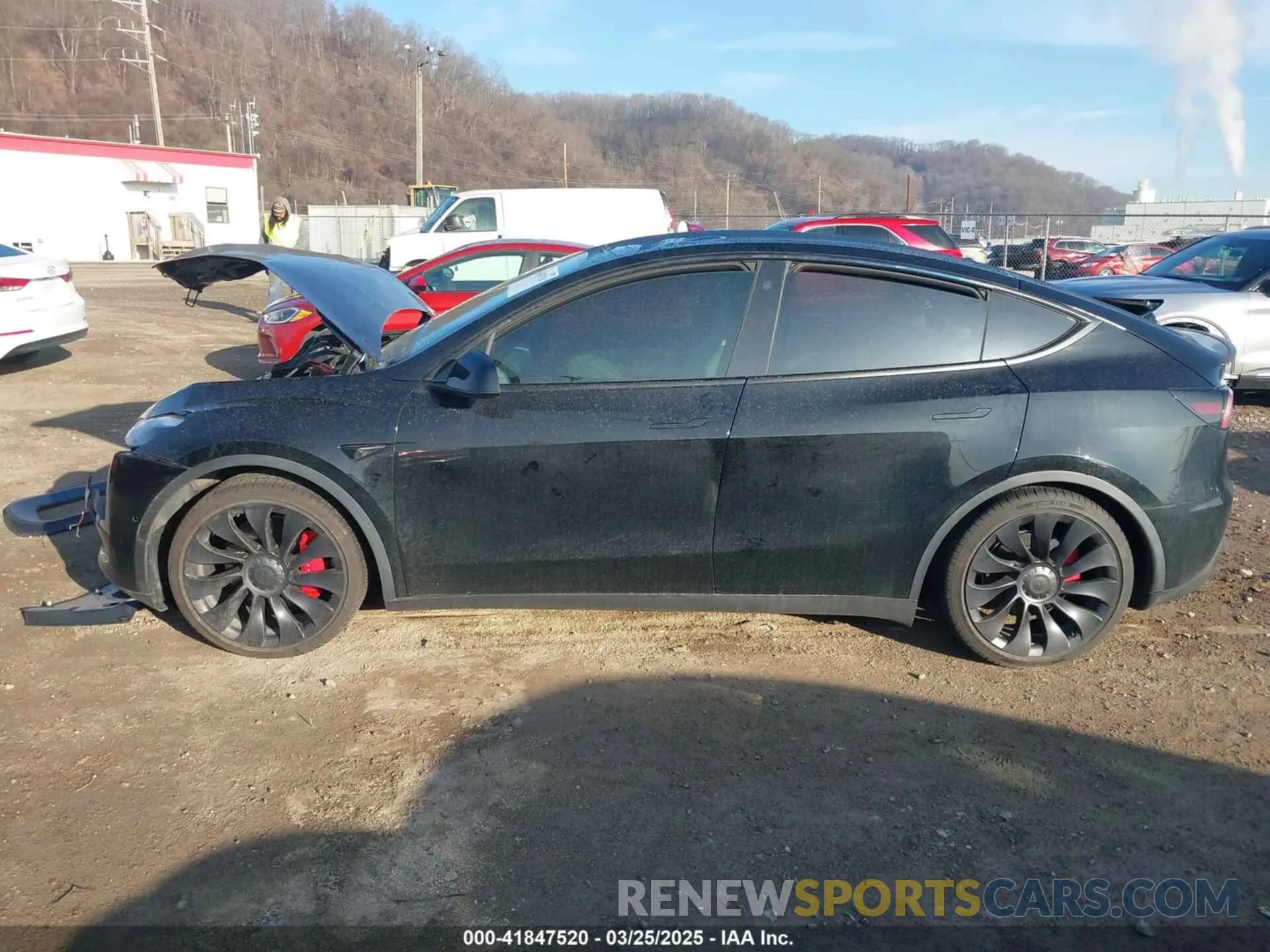 14 Photograph of a damaged car 7SAYGDEF3NF486365 TESLA MODEL Y 2022