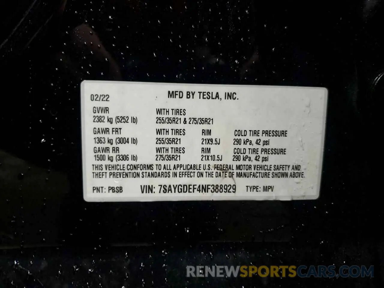 13 Photograph of a damaged car 7SAYGDEF4NF388929 TESLA MODEL Y 2022