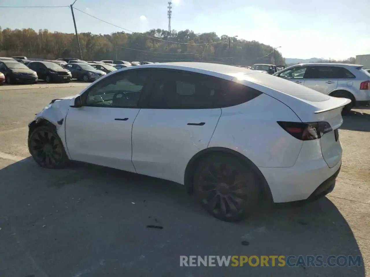 2 Photograph of a damaged car 7SAYGDEF5NF313270 TESLA MODEL Y 2022