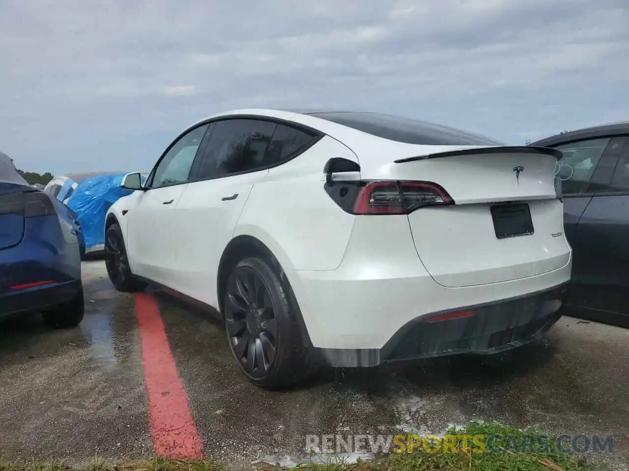 3 Photograph of a damaged car 7SAYGDEF5NF506292 TESLA MODEL Y 2022