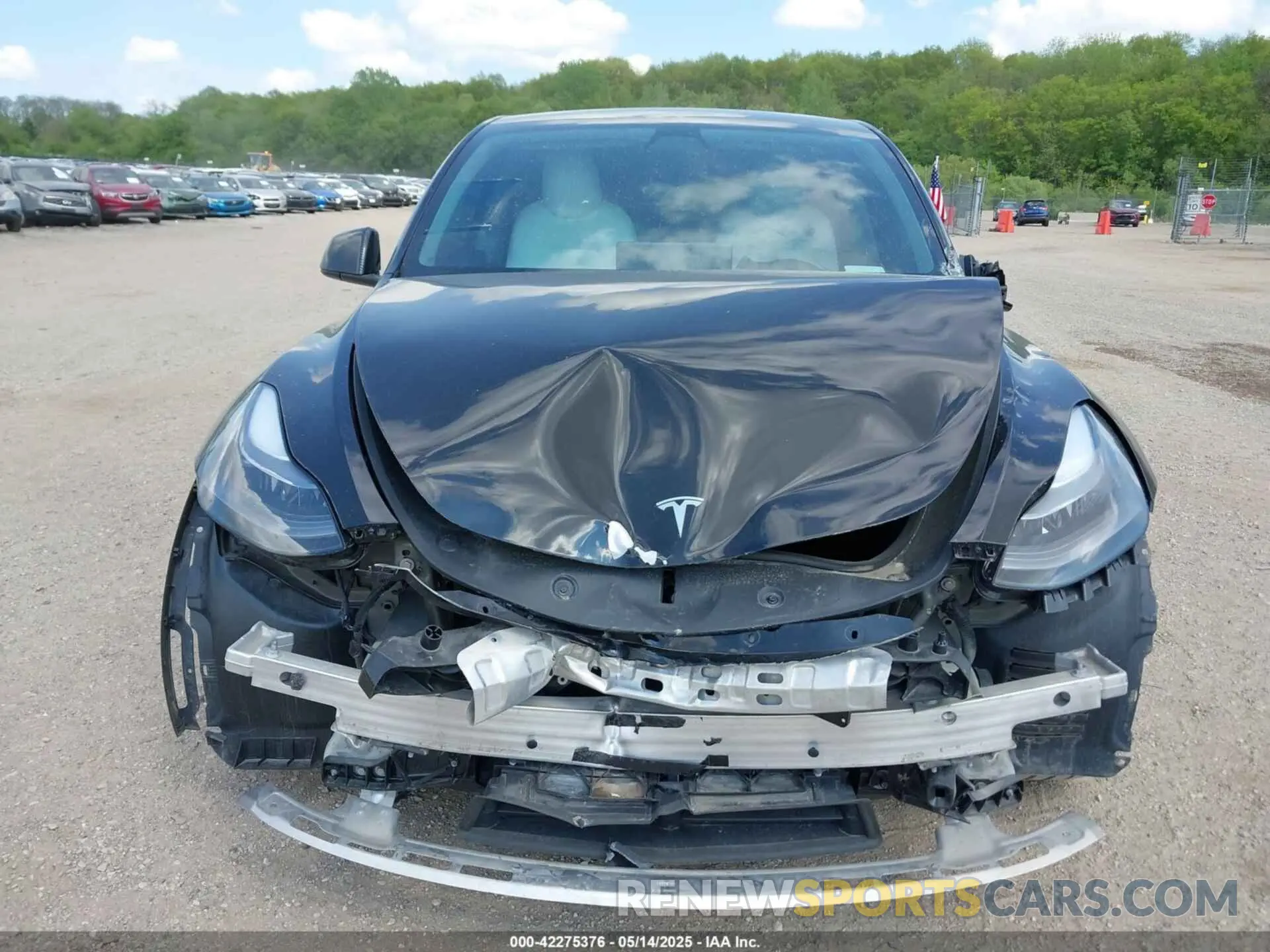 13 Photograph of a damaged car 7SAYGDEF6NF320695 TESLA MODEL Y 2022