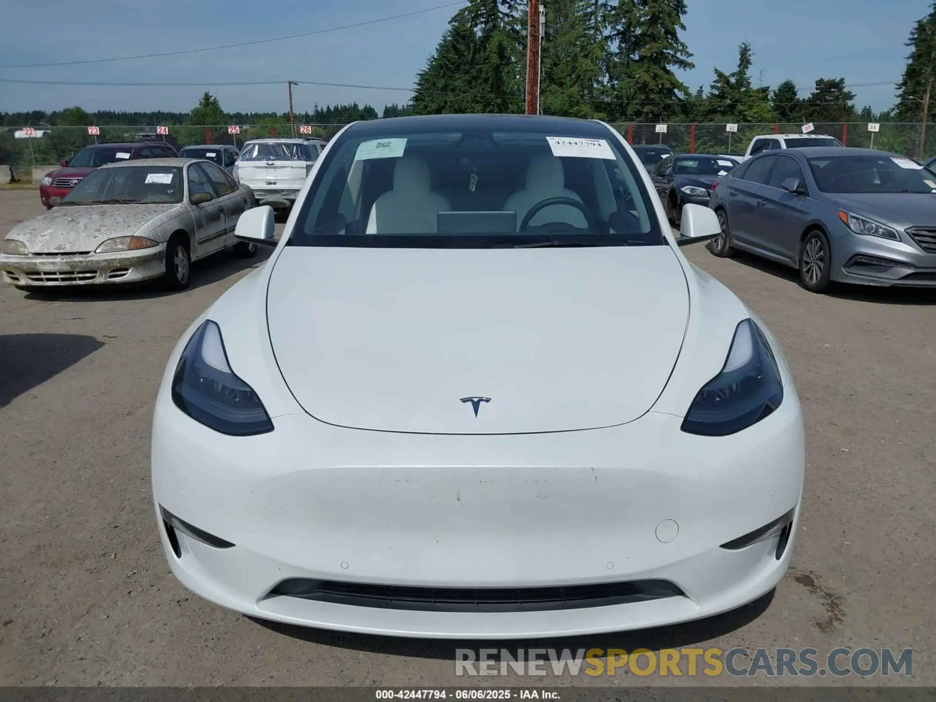 12 Photograph of a damaged car 7SAYGDEF6NF340932 TESLA MODEL Y 2022