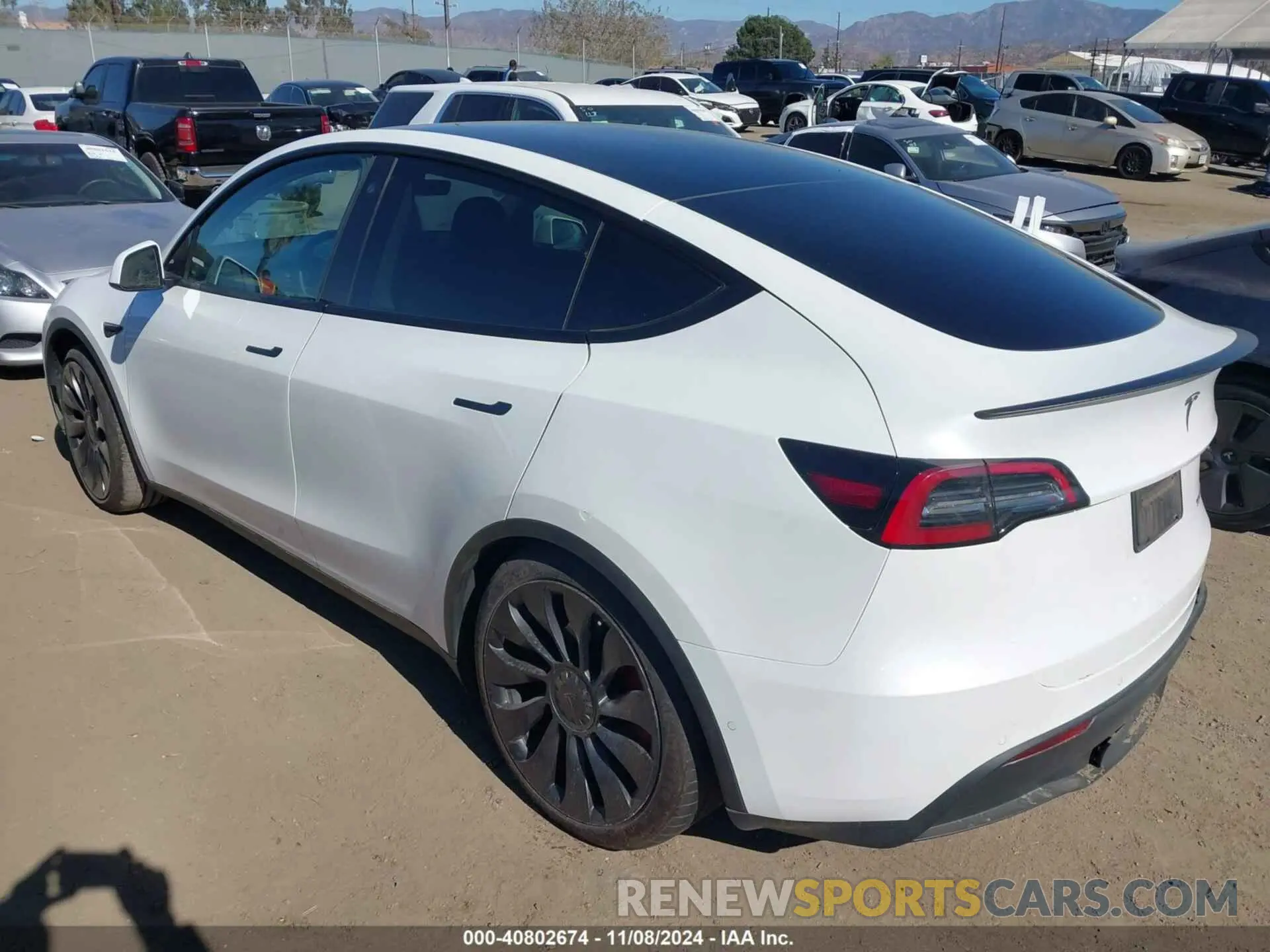 3 Photograph of a damaged car 7SAYGDEF6NF495321 TESLA MODEL Y 2022