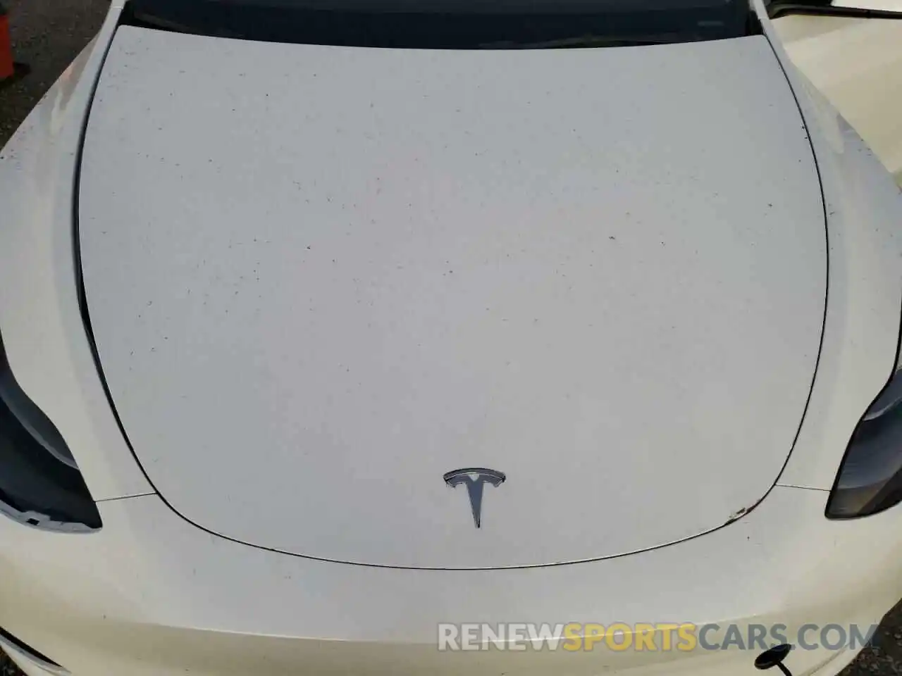 12 Photograph of a damaged car 7SAYGDEF7NF491150 TESLA MODEL Y 2022