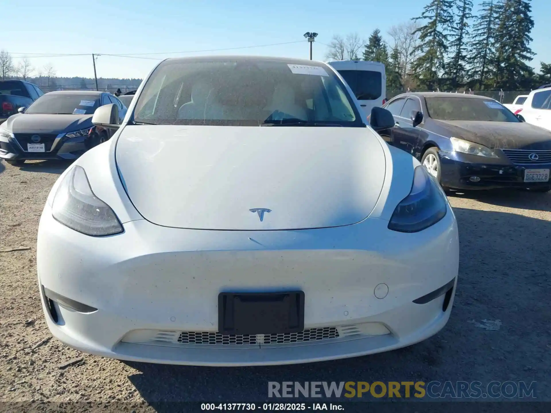 12 Photograph of a damaged car 7SAYGDEF8NF405344 TESLA MODEL Y 2022