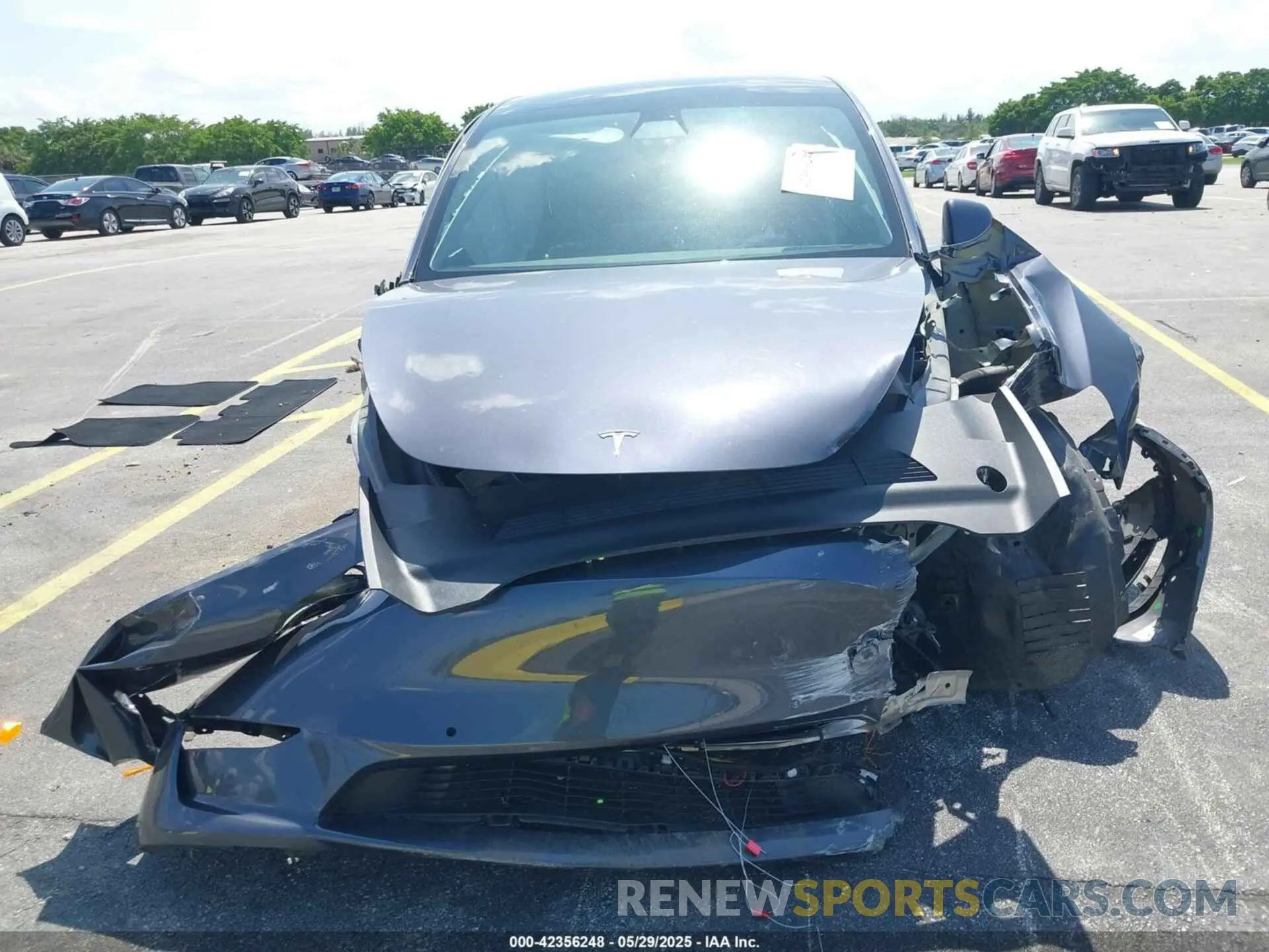 12 Photograph of a damaged car 7SAYGDEF8NF450574 TESLA MODEL Y 2022