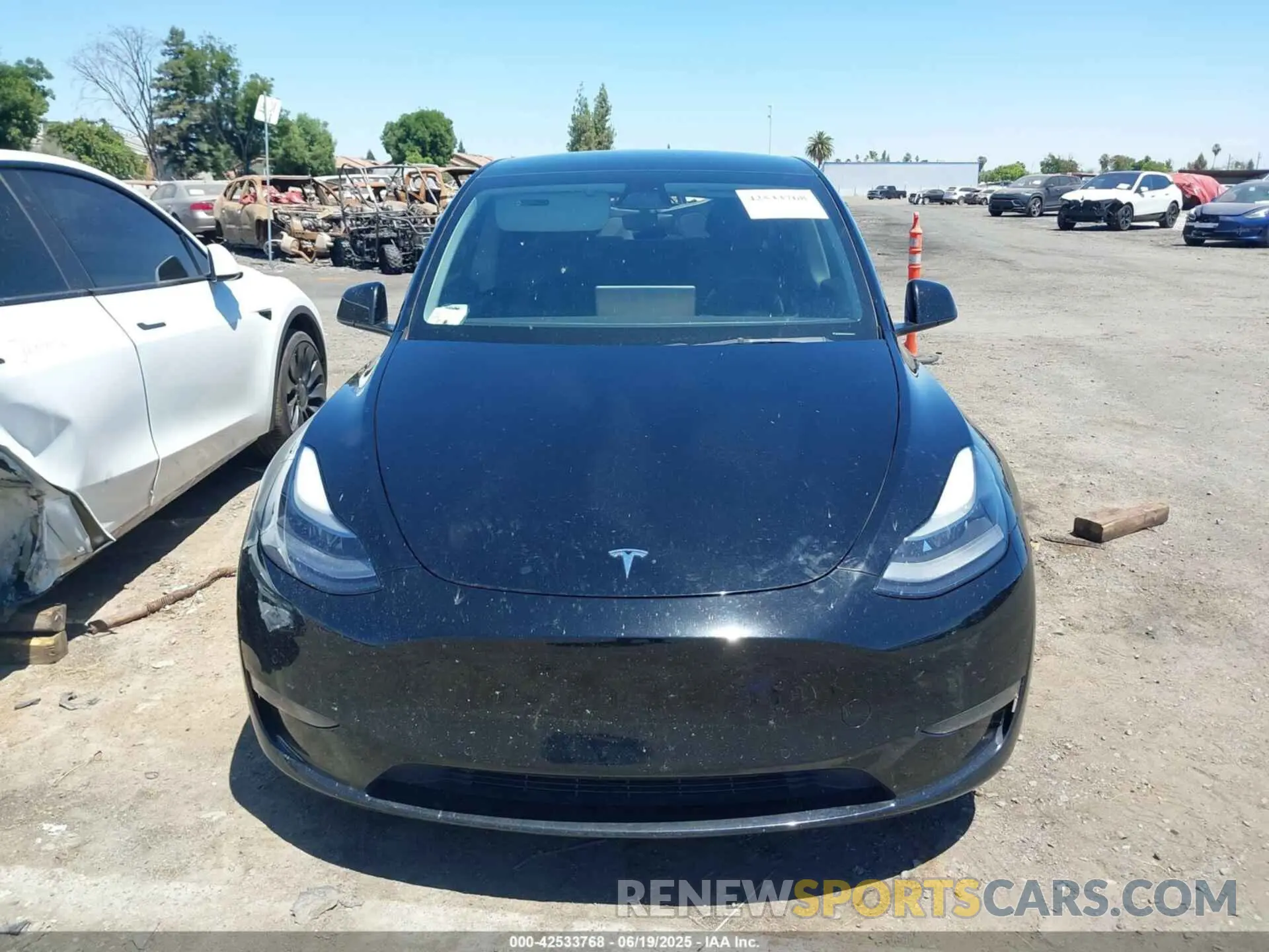 12 Photograph of a damaged car 7SAYGDEF9NF351990 TESLA MODEL Y 2022
