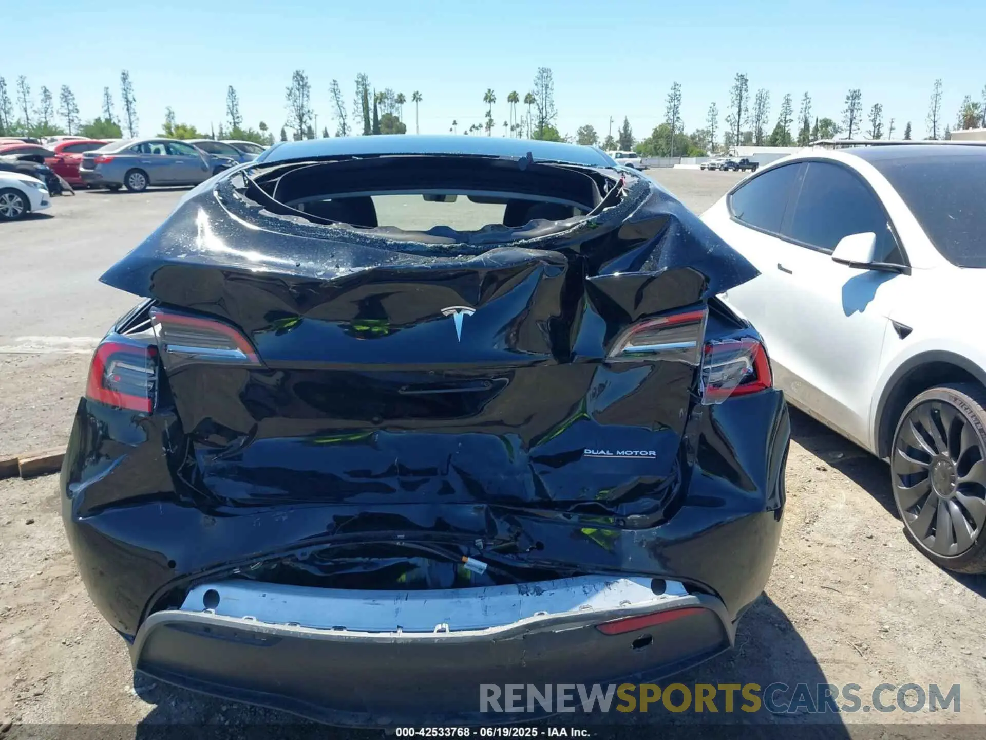 16 Photograph of a damaged car 7SAYGDEF9NF351990 TESLA MODEL Y 2022
