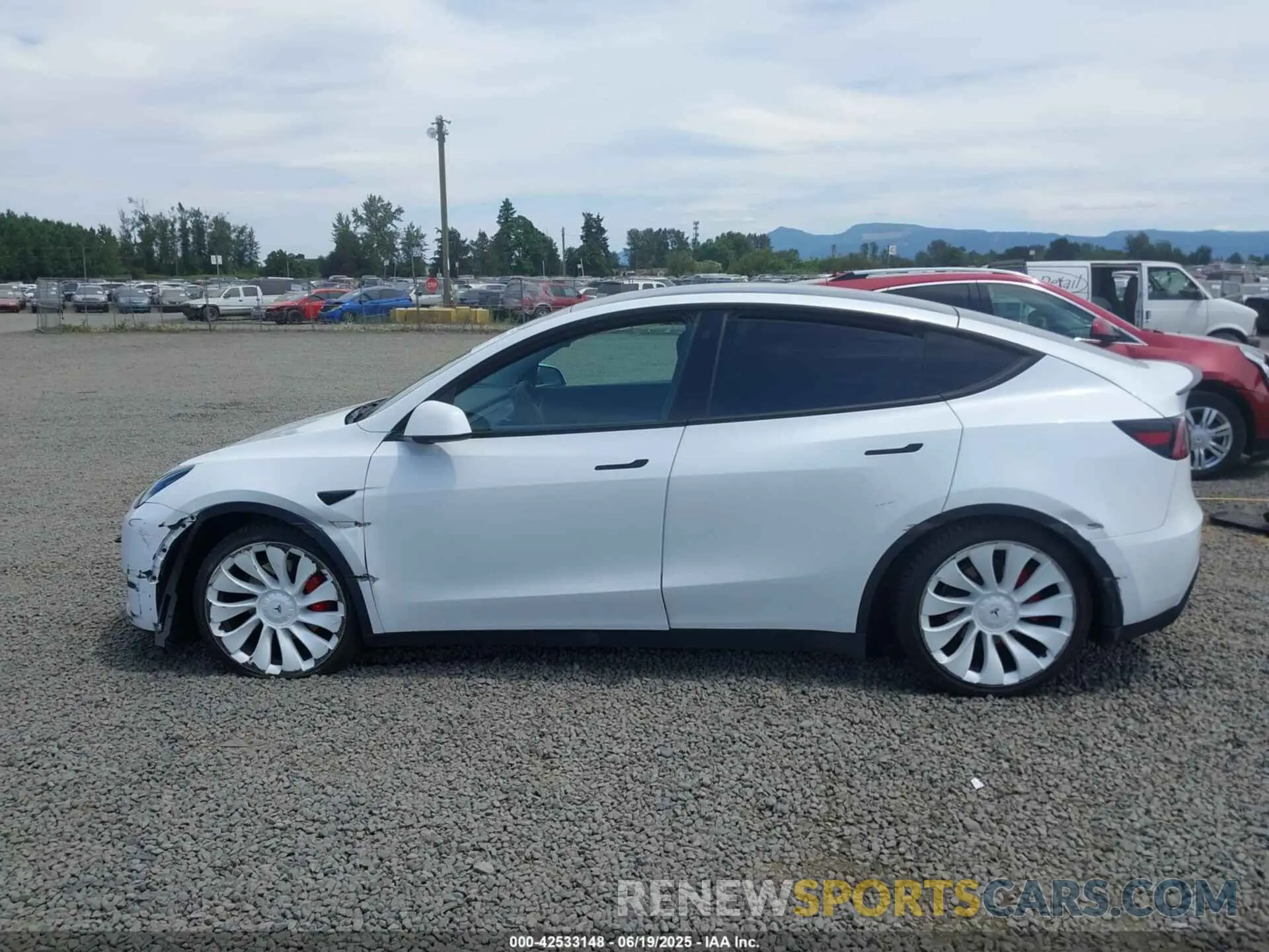 14 Photograph of a damaged car 7SAYGDEF9NF399019 TESLA MODEL Y 2022