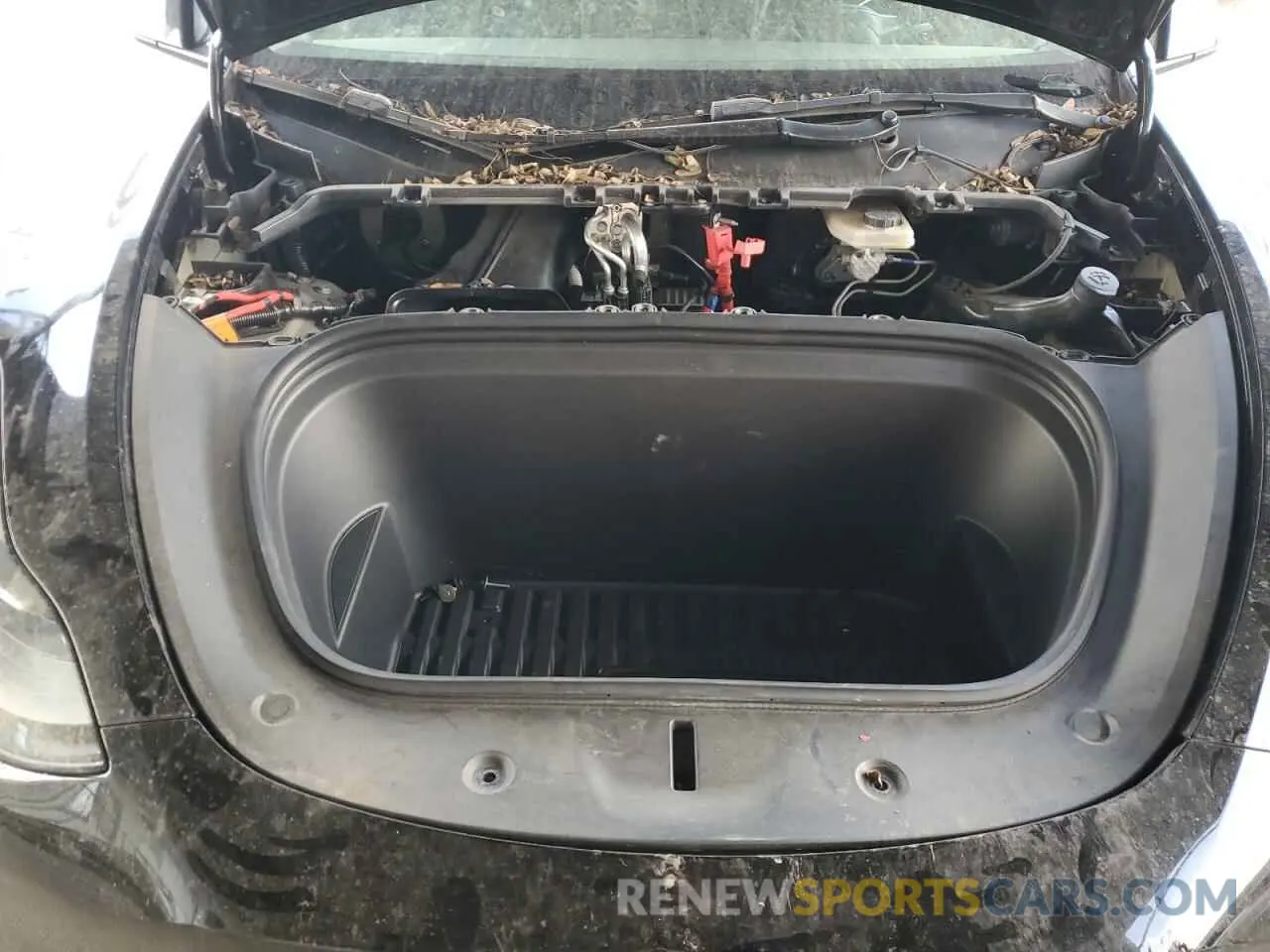 12 Photograph of a damaged car 7SAYGDEFXNF554631 TESLA MODEL Y 2022