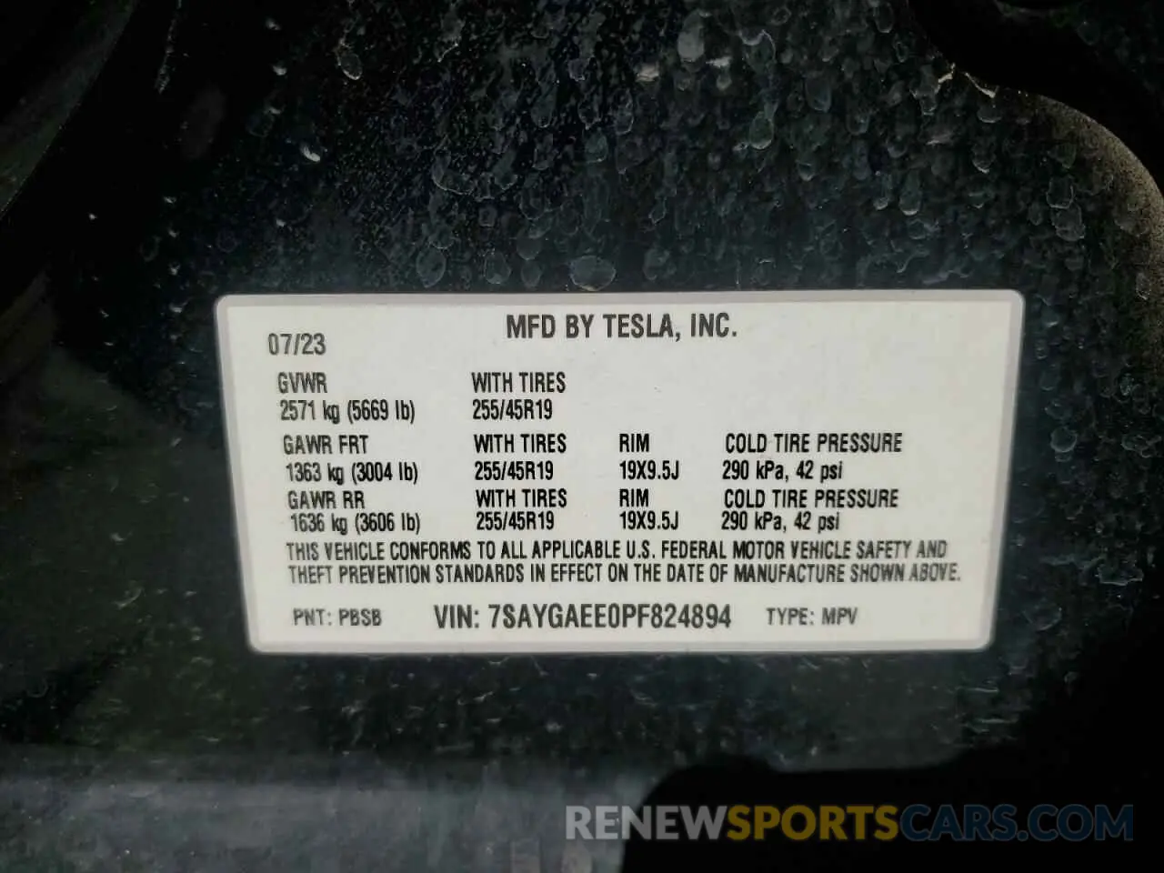 13 Photograph of a damaged car 7SAYGAEE0PF824894 TESLA MODEL Y 2023