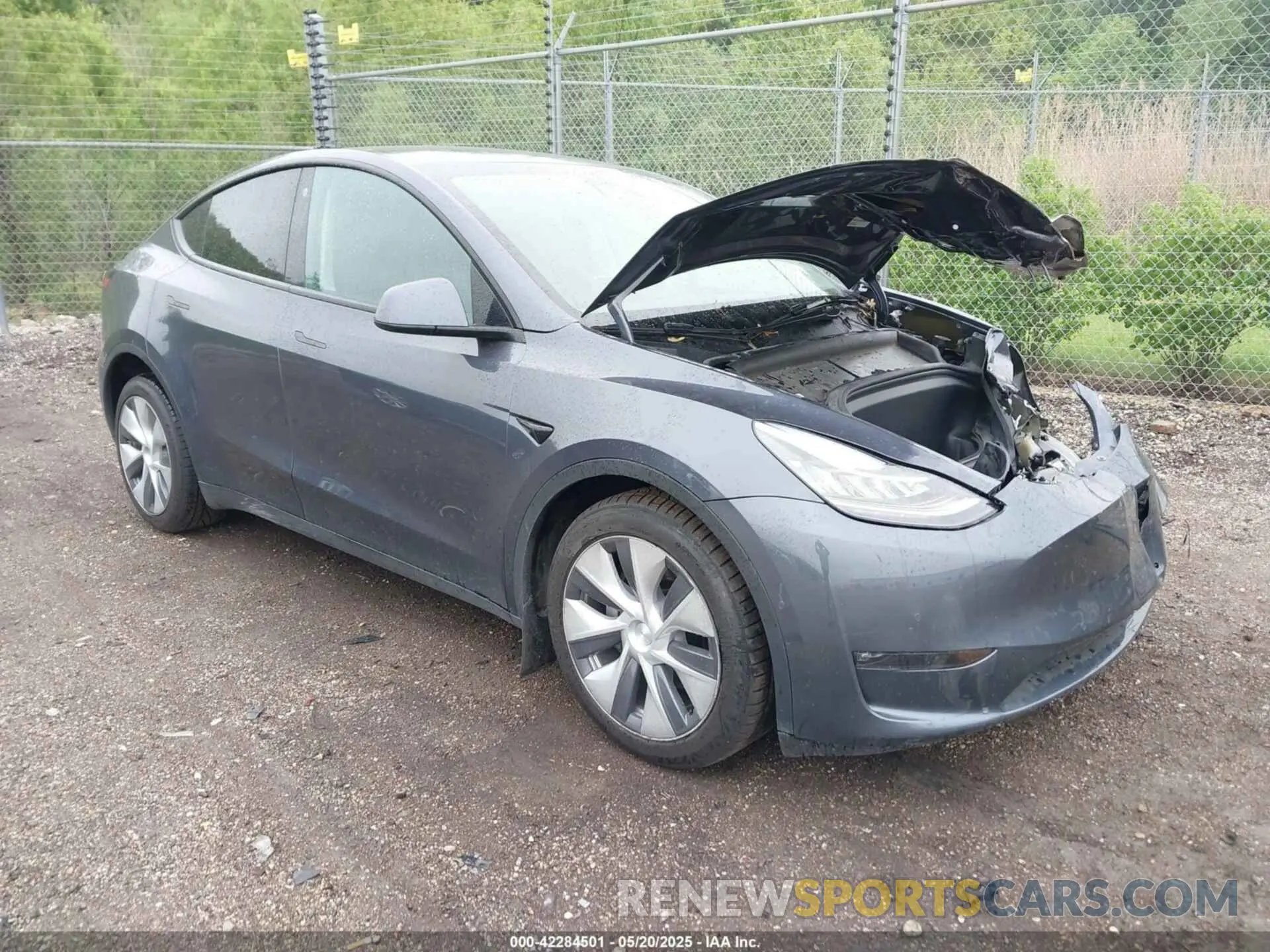1 Photograph of a damaged car 7SAYGAEE1PF584206 TESLA MODEL Y 2023