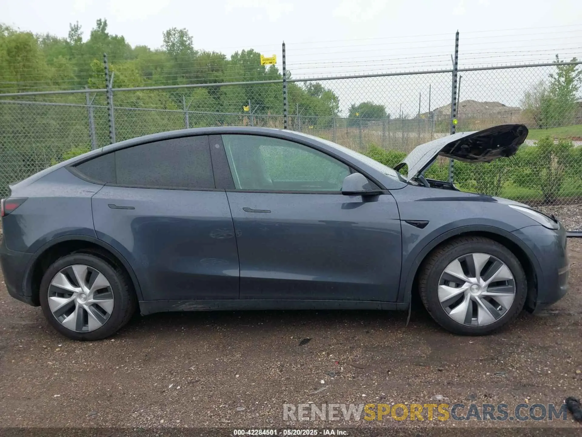 12 Photograph of a damaged car 7SAYGAEE1PF584206 TESLA MODEL Y 2023