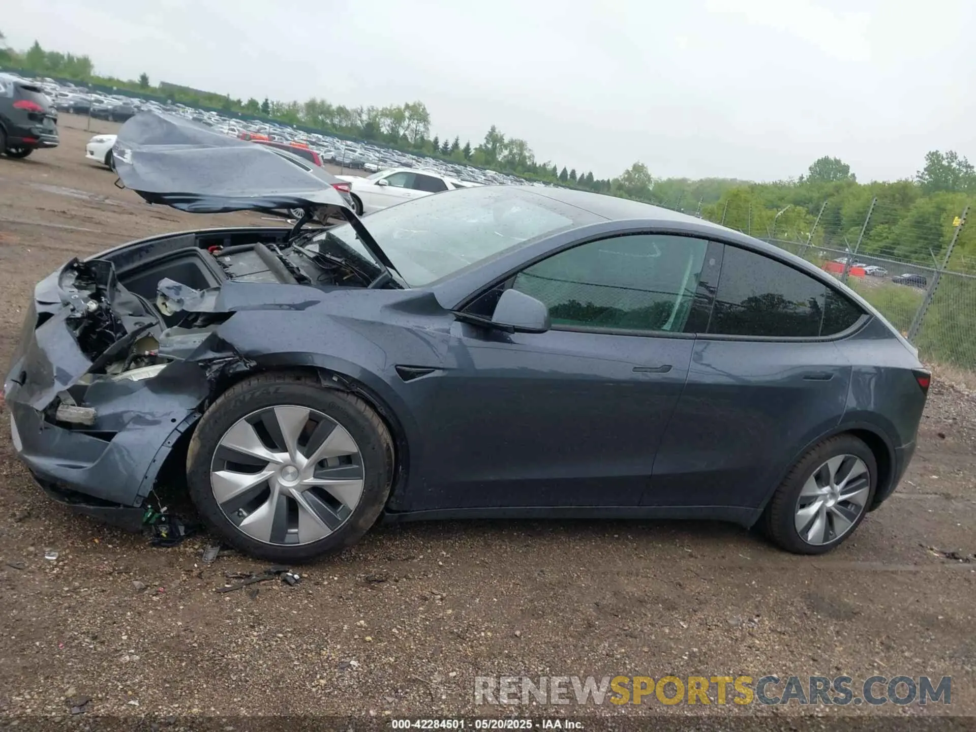 13 Photograph of a damaged car 7SAYGAEE1PF584206 TESLA MODEL Y 2023