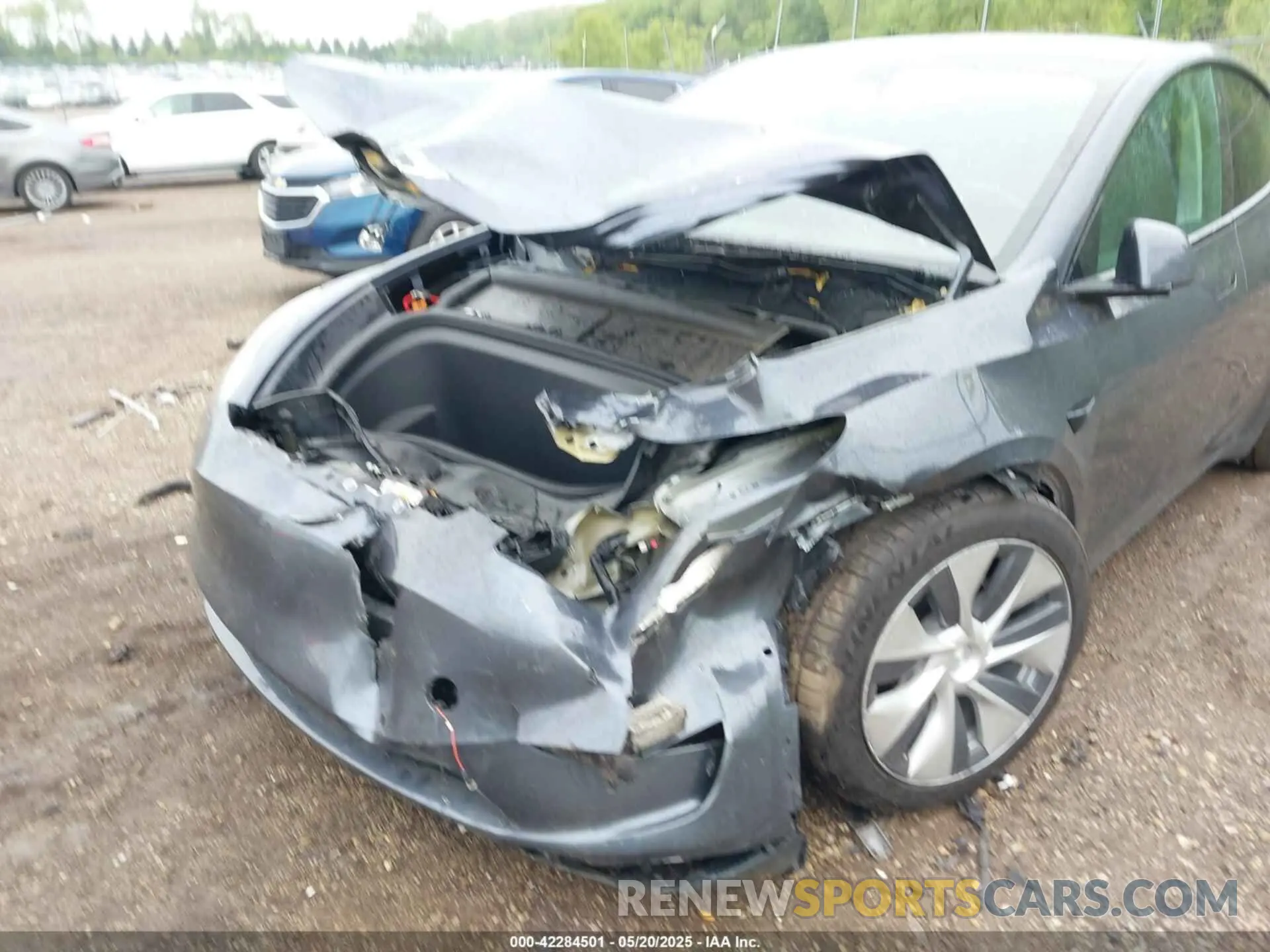 19 Photograph of a damaged car 7SAYGAEE1PF584206 TESLA MODEL Y 2023