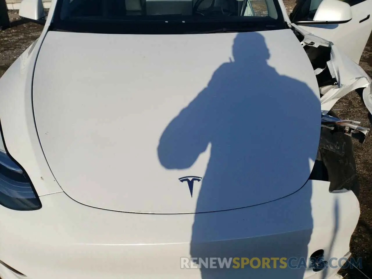 13 Photograph of a damaged car 7SAYGAEE1PF616913 TESLA MODEL Y 2023