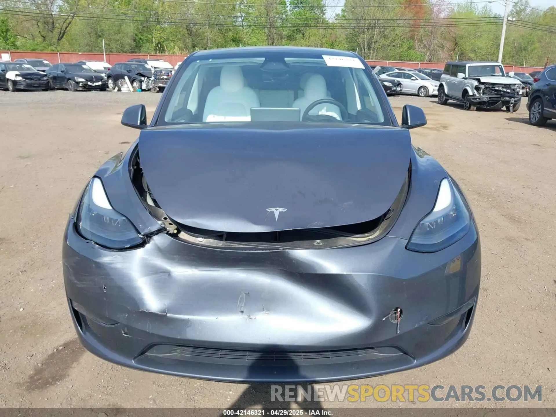 12 Photograph of a damaged car 7SAYGAEE1PF889267 TESLA MODEL Y 2023