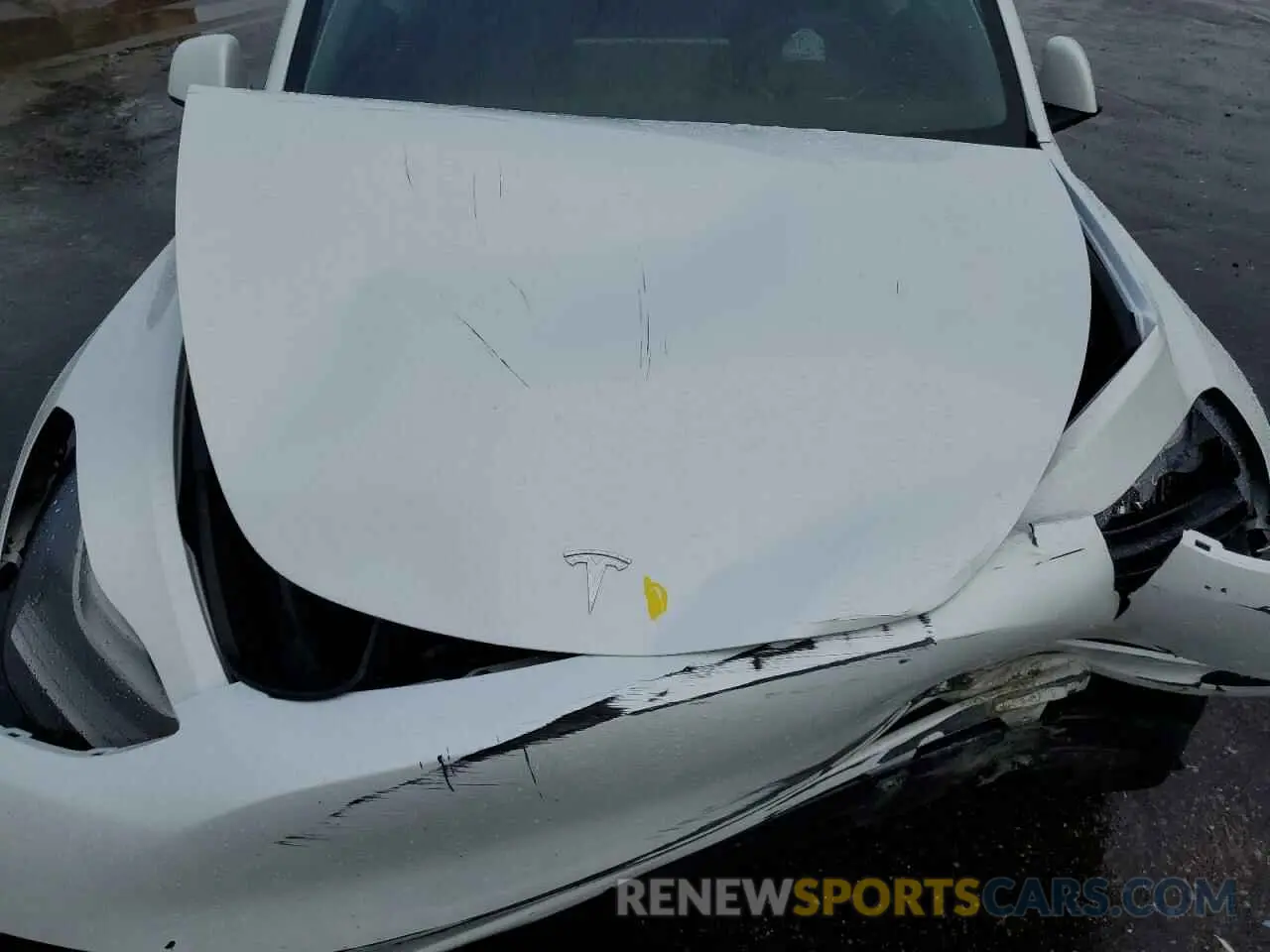 13 Photograph of a damaged car 7SAYGAEE2PF753228 TESLA MODEL Y 2023