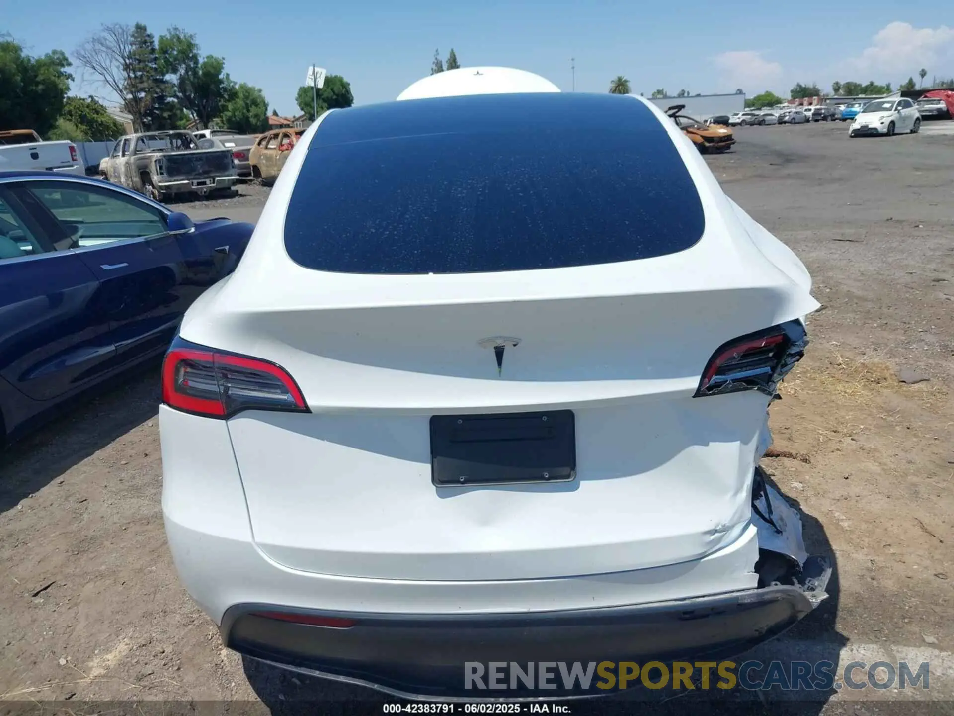 17 Photograph of a damaged car 7SAYGAEE6PF610721 TESLA MODEL Y 2023