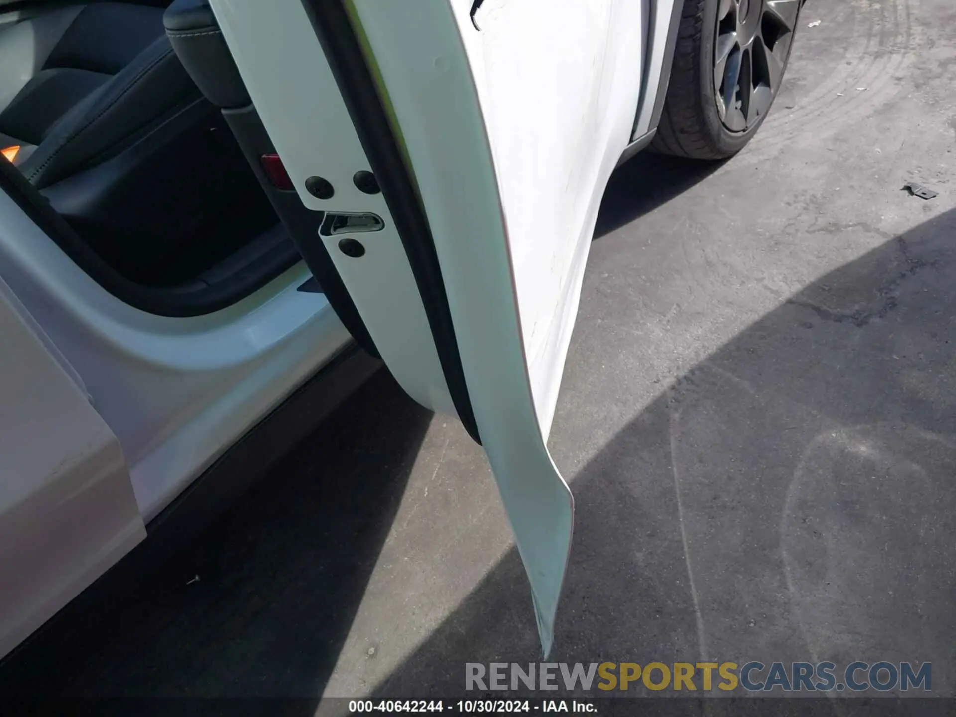 12 Photograph of a damaged car 7SAYGAEE6PF769769 TESLA MODEL Y 2023