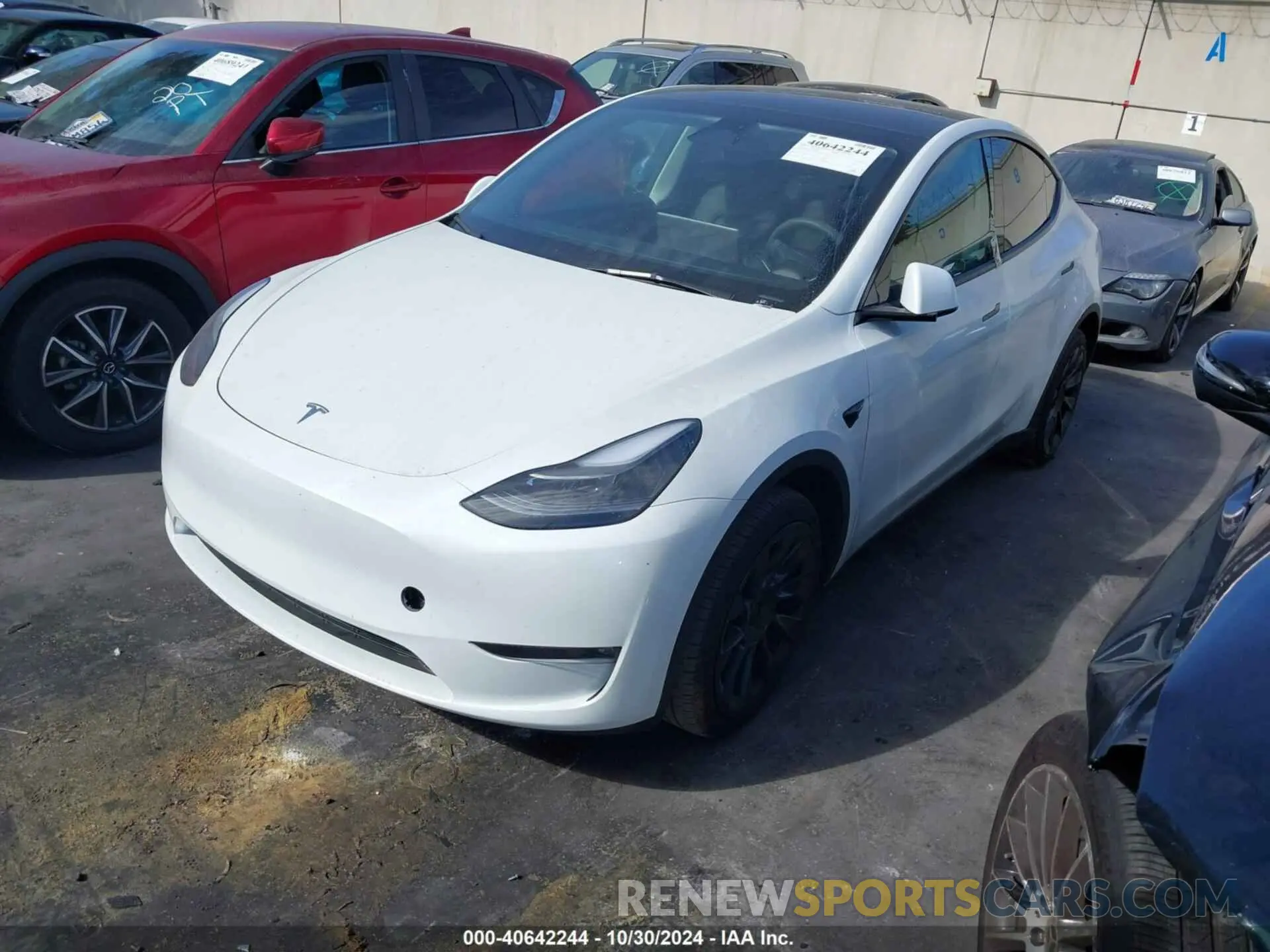 2 Photograph of a damaged car 7SAYGAEE6PF769769 TESLA MODEL Y 2023
