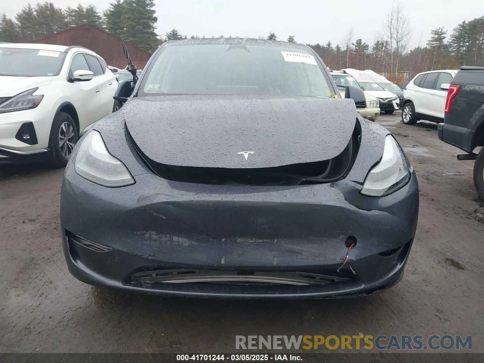 12 Photograph of a damaged car 7SAYGAEE6PF850027 TESLA MODEL Y 2023