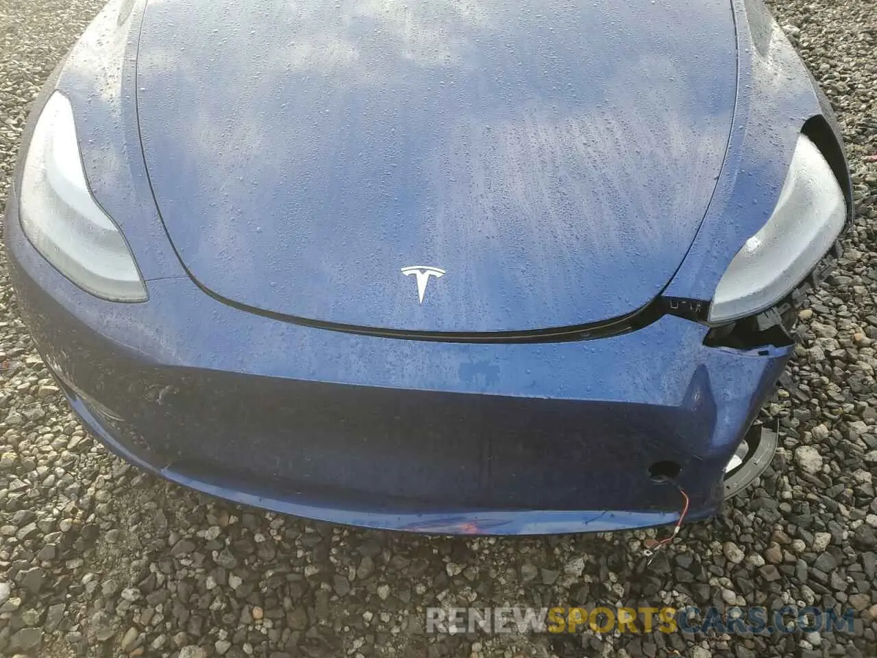 12 Photograph of a damaged car 7SAYGAEE7PF824973 TESLA MODEL Y 2023