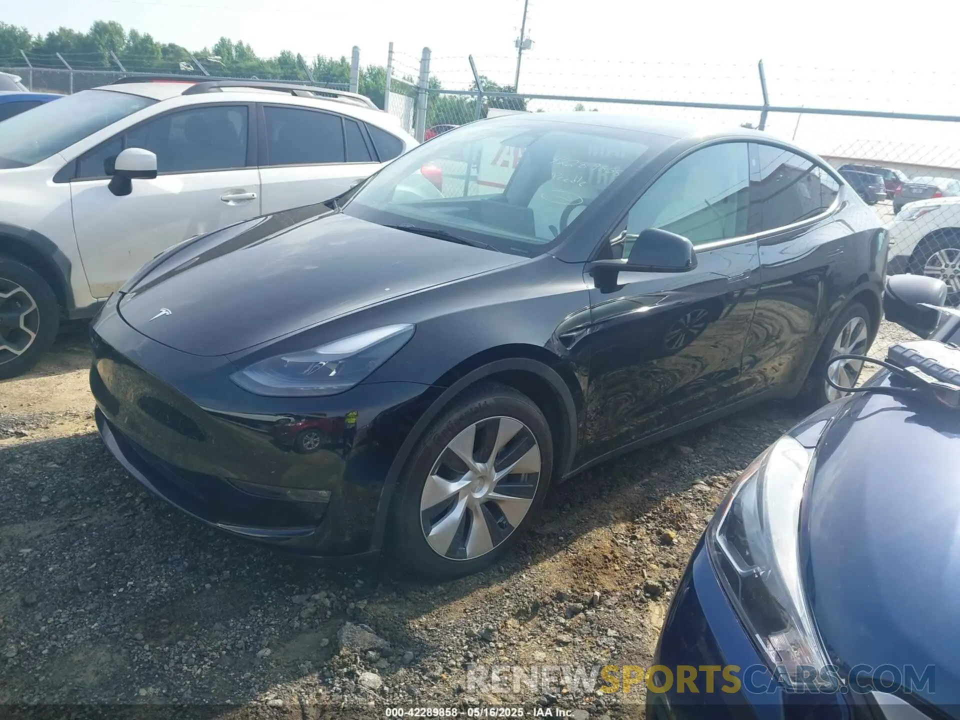2 Photograph of a damaged car 7SAYGAEEXPF711924 TESLA MODEL Y 2023