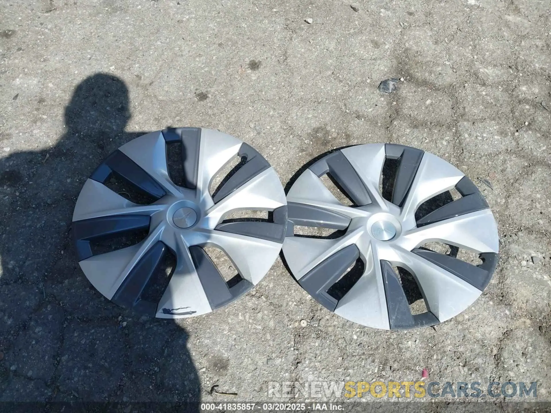 12 Photograph of a damaged car 7SAYGDED3PF977004 TESLA MODEL Y 2023