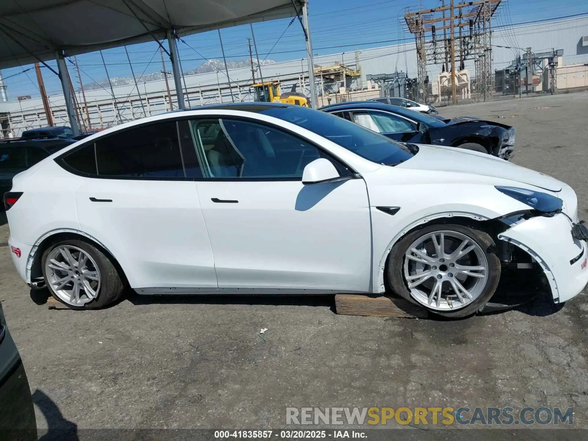 14 Photograph of a damaged car 7SAYGDED3PF977004 TESLA MODEL Y 2023