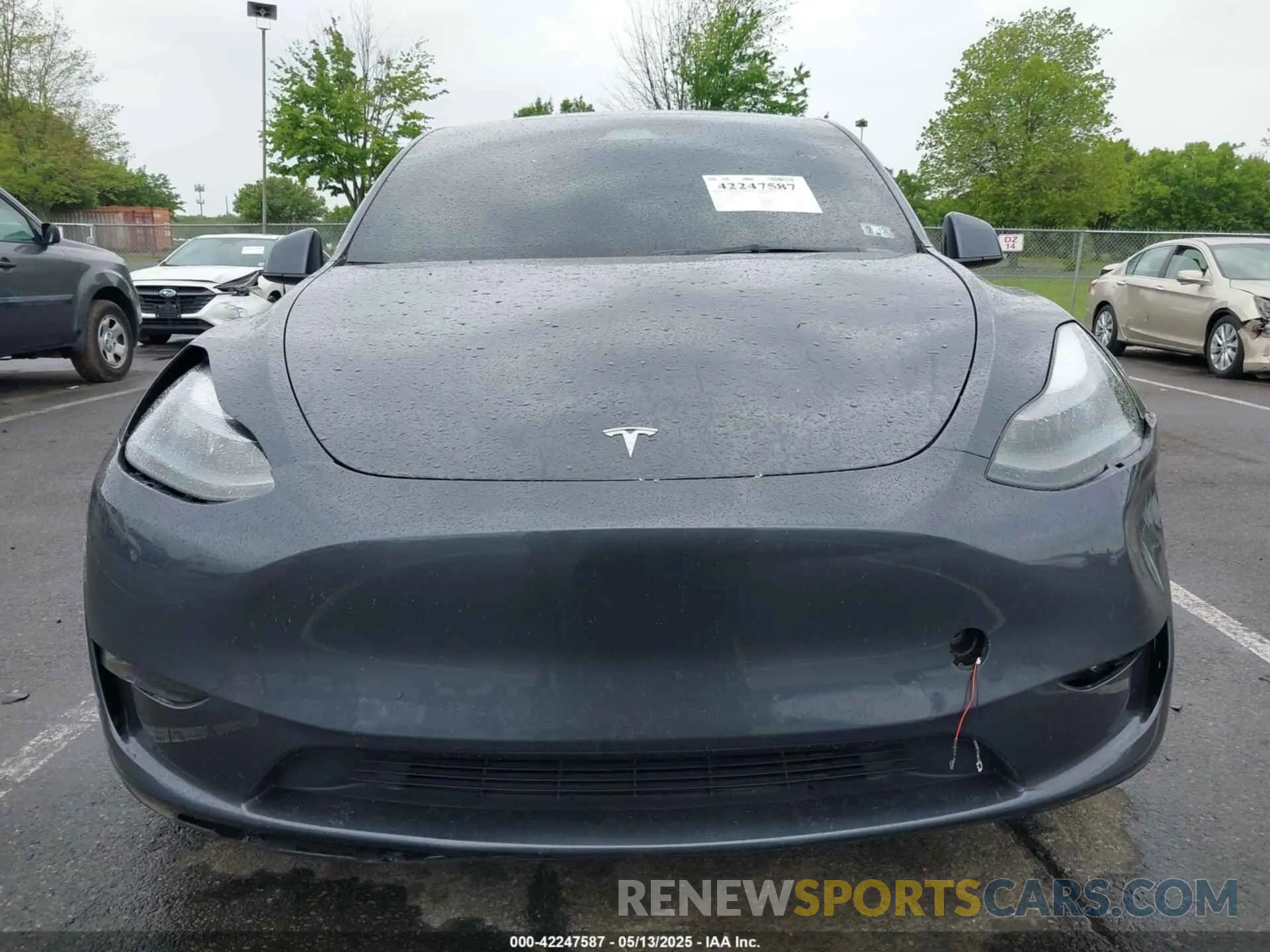 11 Photograph of a damaged car 7SAYGDED5PF958065 TESLA MODEL Y 2023