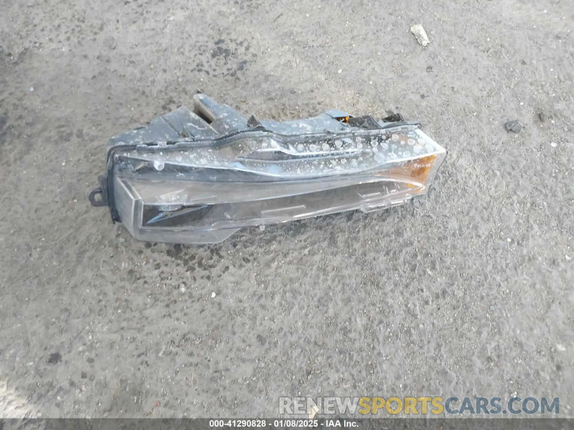 12 Photograph of a damaged car 7SAYGDED6PF965333 TESLA MODEL Y 2023