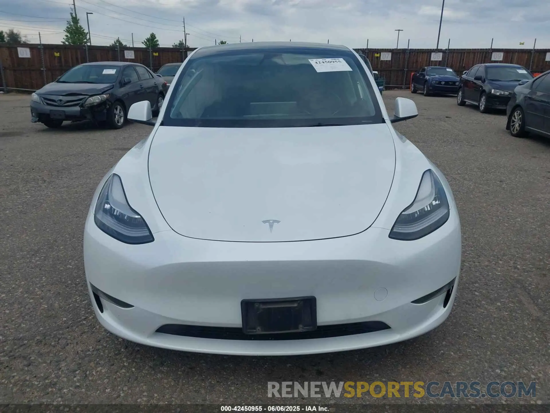 12 Photograph of a damaged car 7SAYGDEE0PA109094 TESLA MODEL Y 2023