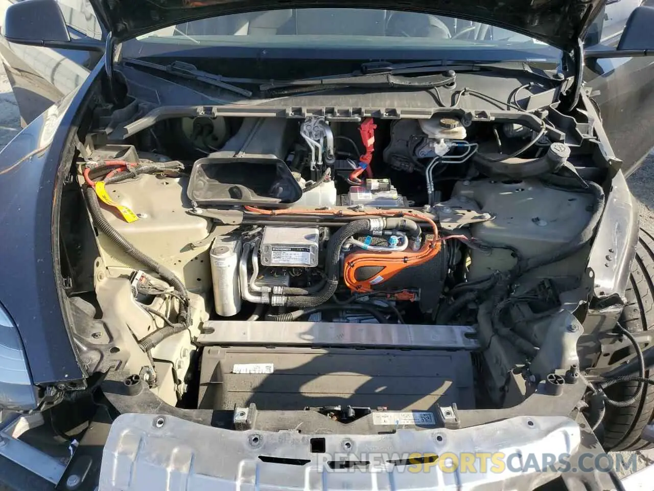 13 Photograph of a damaged car 7SAYGDEE0PA114201 TESLA MODEL Y 2023