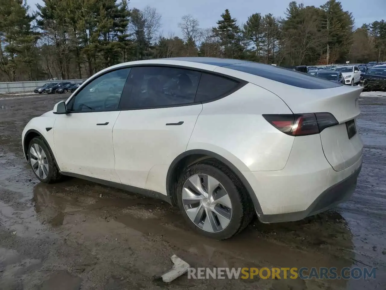 2 Photograph of a damaged car 7SAYGDEE0PA116790 TESLA MODEL Y 2023