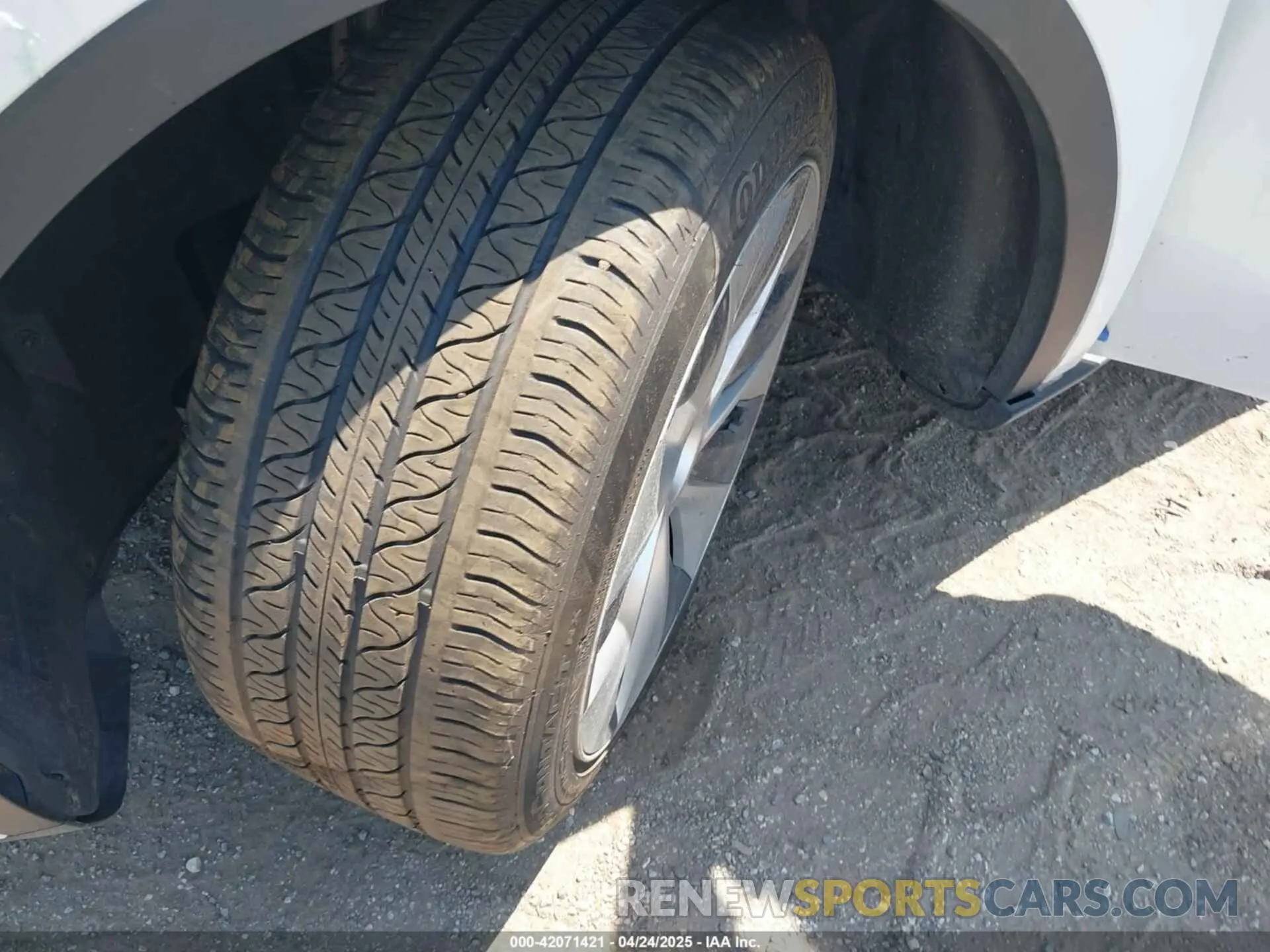 11 Photograph of a damaged car 7SAYGDEE0PA130057 TESLA MODEL Y 2023