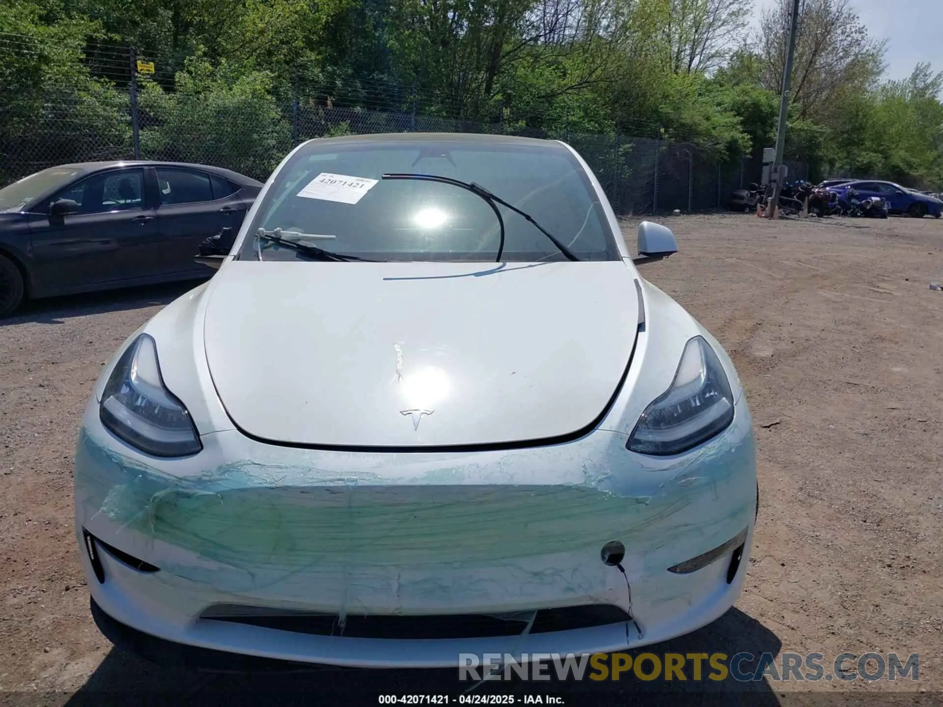 12 Photograph of a damaged car 7SAYGDEE0PA130057 TESLA MODEL Y 2023