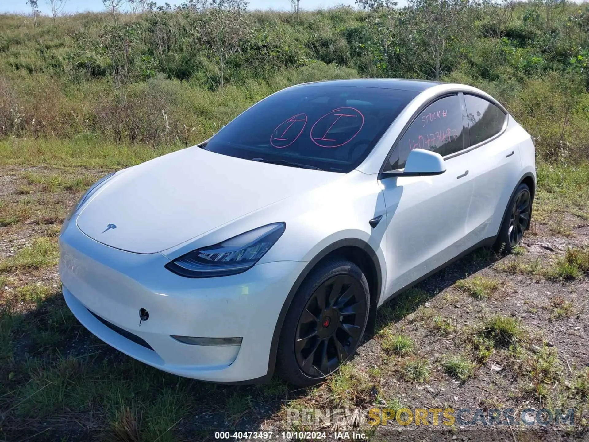 2 Photograph of a damaged car 7SAYGDEE0PA146761 TESLA MODEL Y 2023
