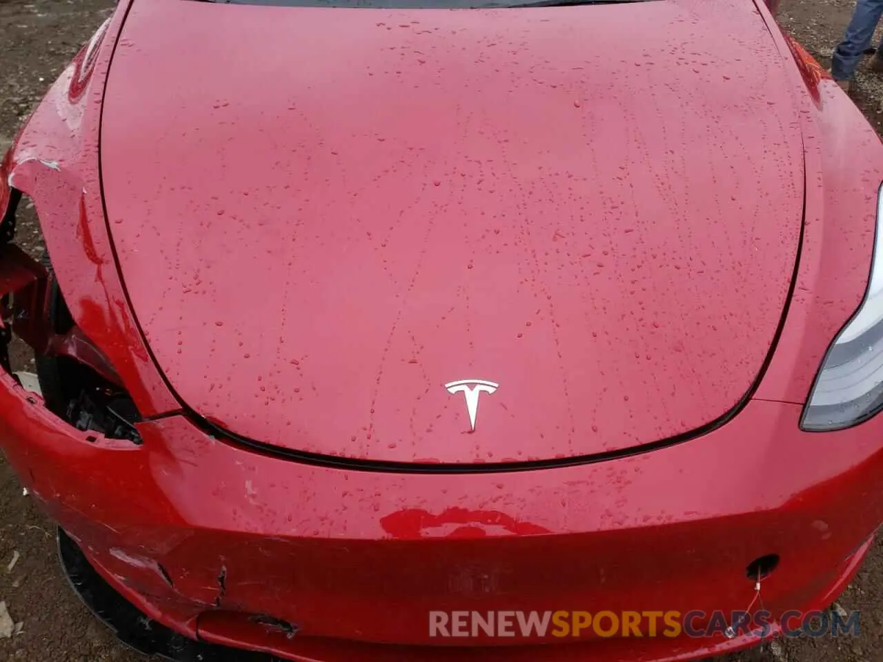 11 Photograph of a damaged car 7SAYGDEE0PF810754 TESLA MODEL Y 2023