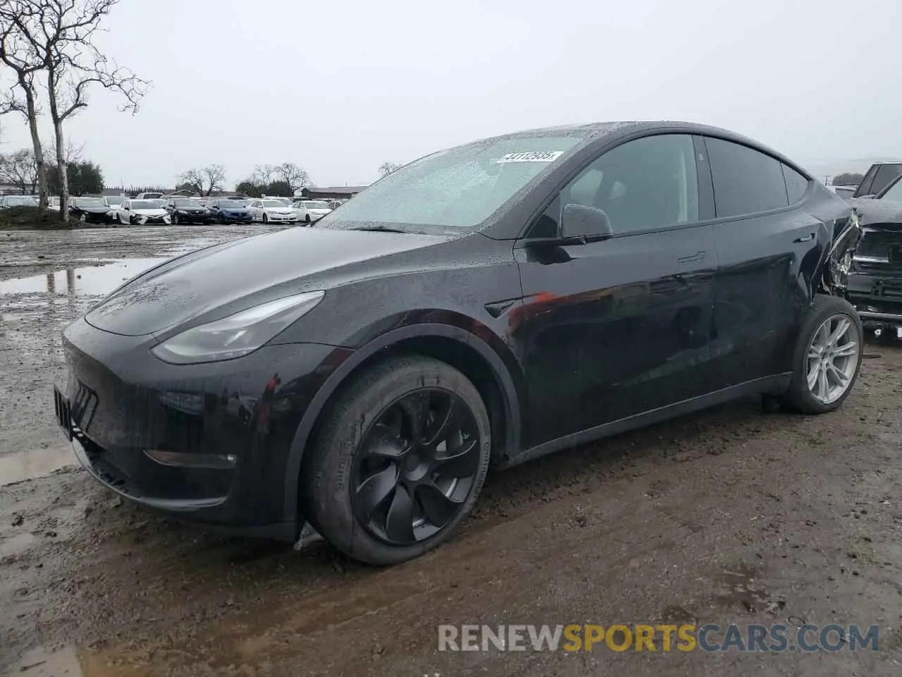 1 Photograph of a damaged car 7SAYGDEE0PF937455 TESLA MODEL Y 2023