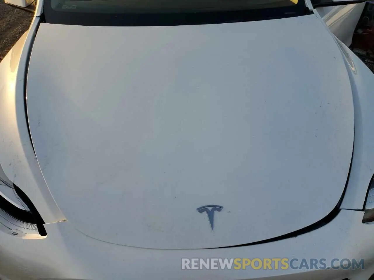 13 Photograph of a damaged car 7SAYGDEE1PA039069 TESLA MODEL Y 2023
