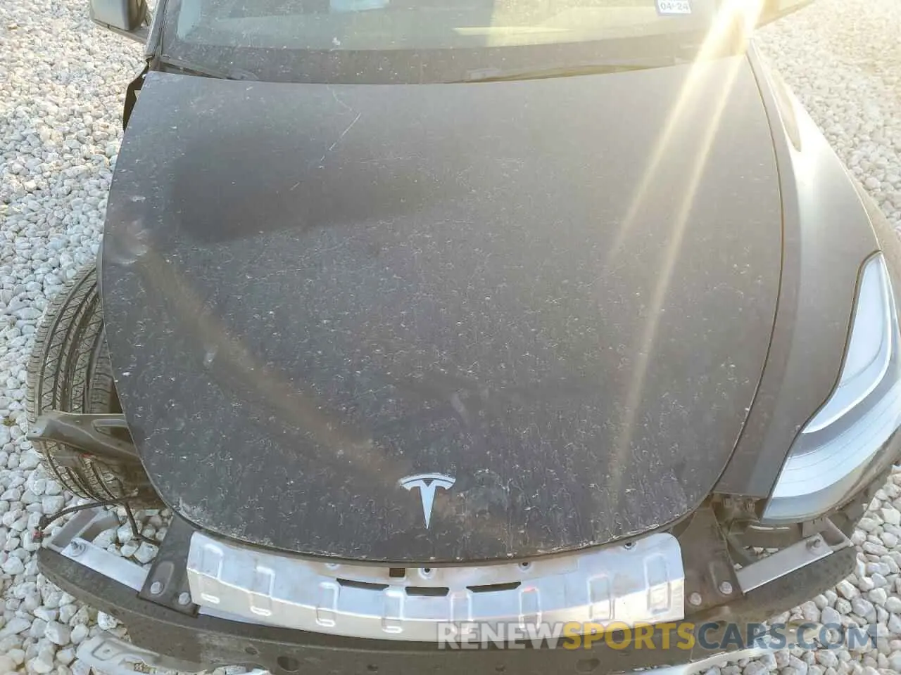 13 Photograph of a damaged car 7SAYGDEE1PA078373 TESLA MODEL Y 2023