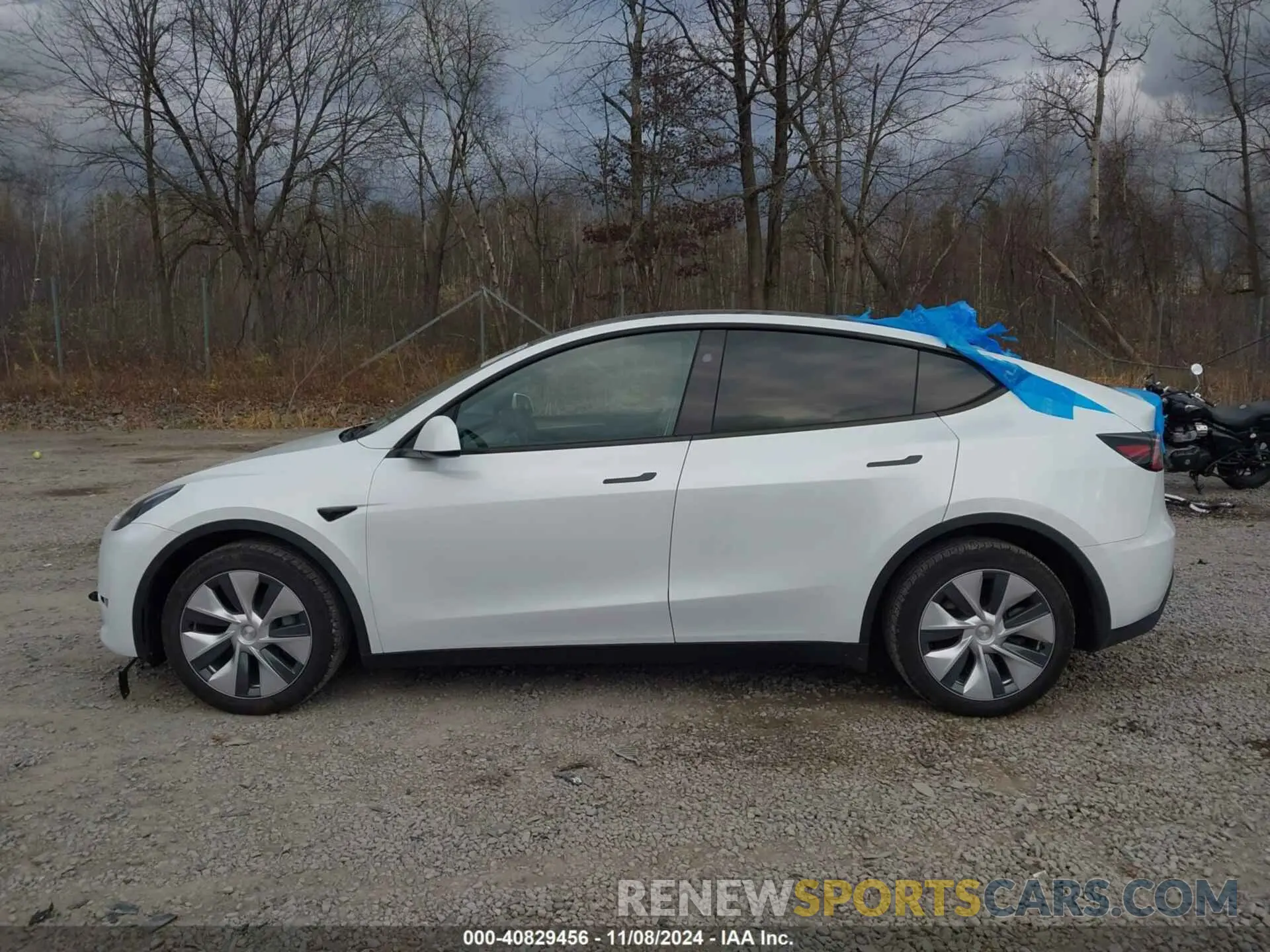 14 Photograph of a damaged car 7SAYGDEE1PA173984 TESLA MODEL Y 2023