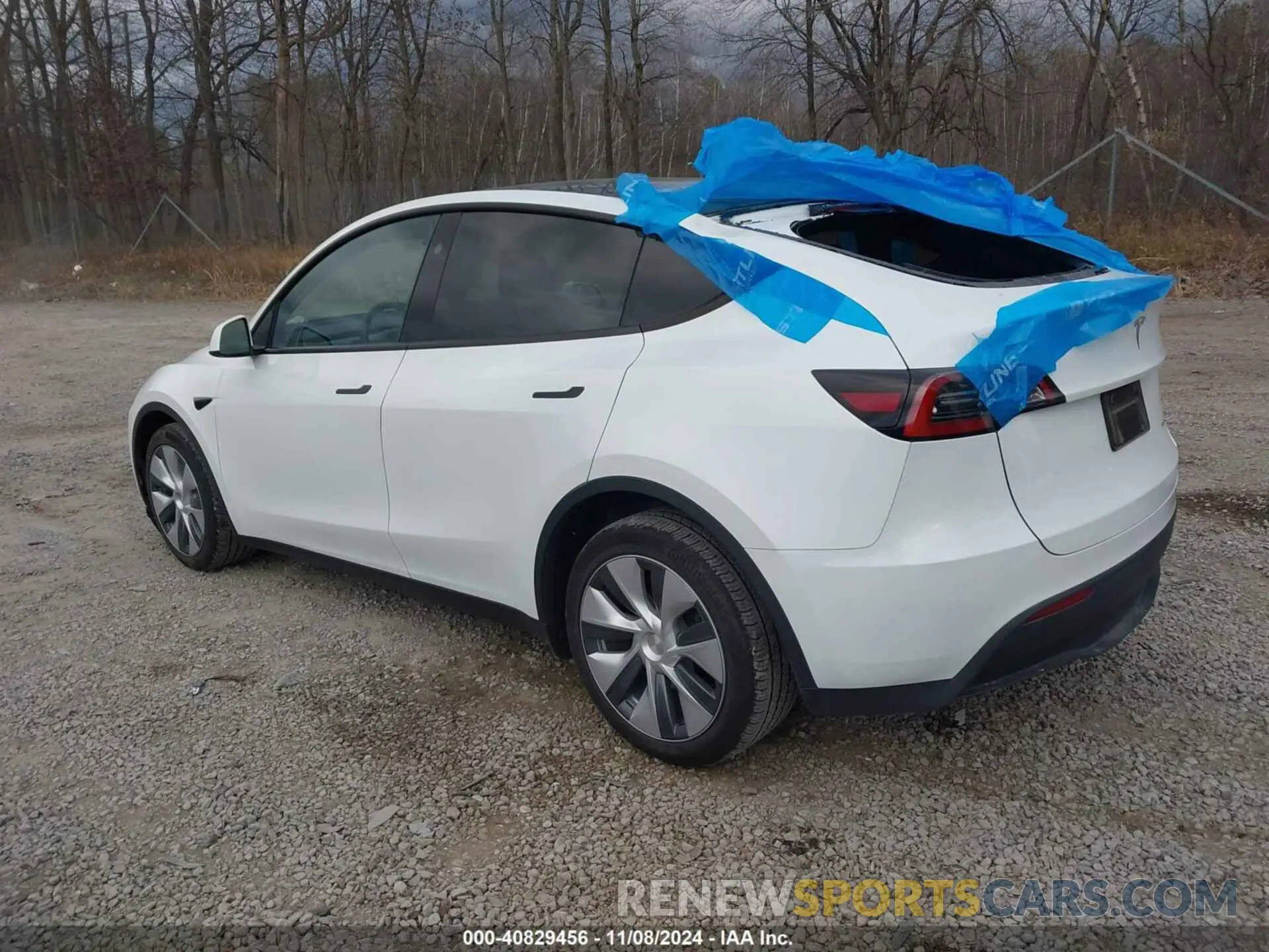 3 Photograph of a damaged car 7SAYGDEE1PA173984 TESLA MODEL Y 2023