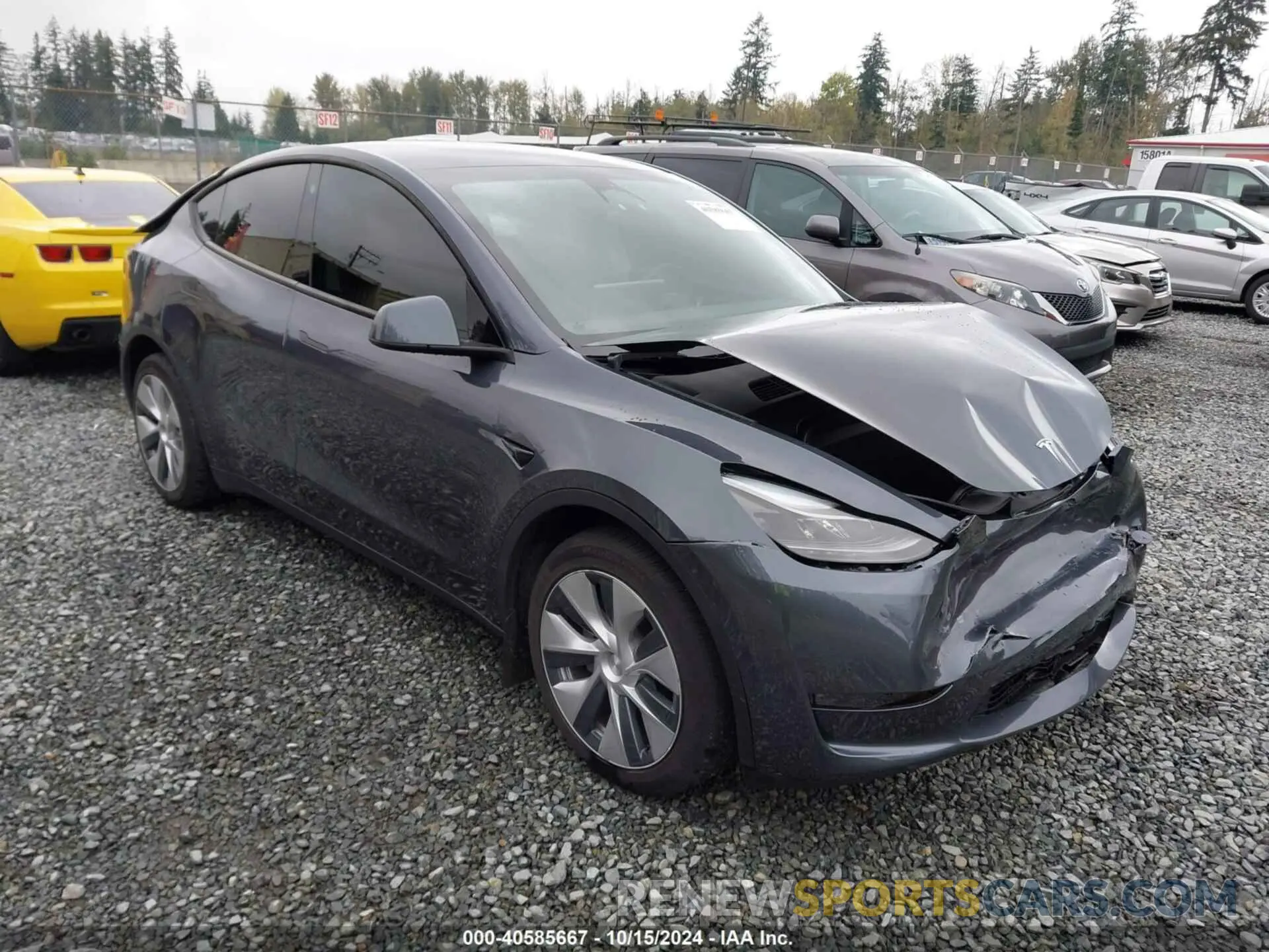 1 Photograph of a damaged car 7SAYGDEE1PF645877 TESLA MODEL Y 2023