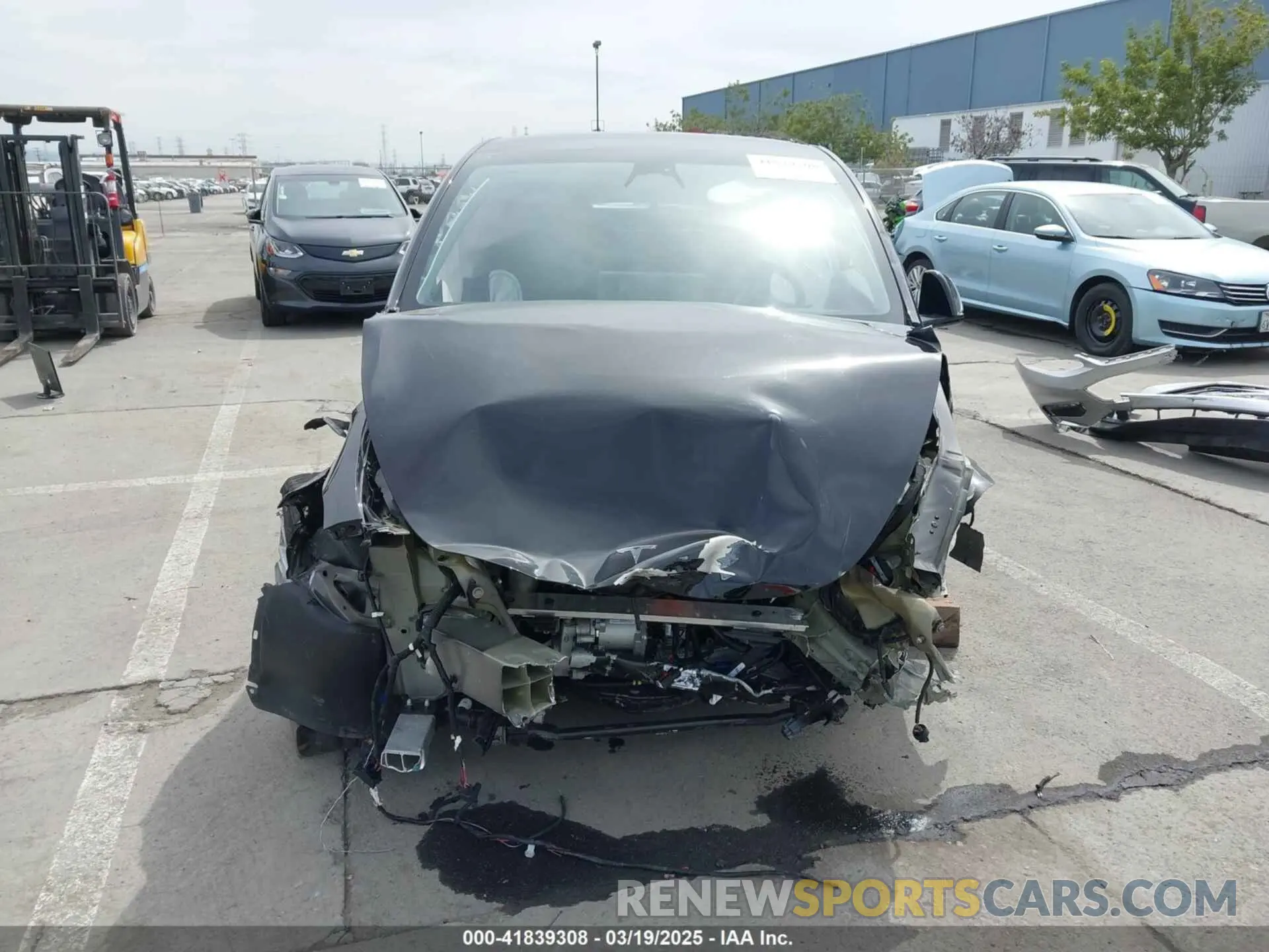 12 Photograph of a damaged car 7SAYGDEE1PF748426 TESLA MODEL Y 2023