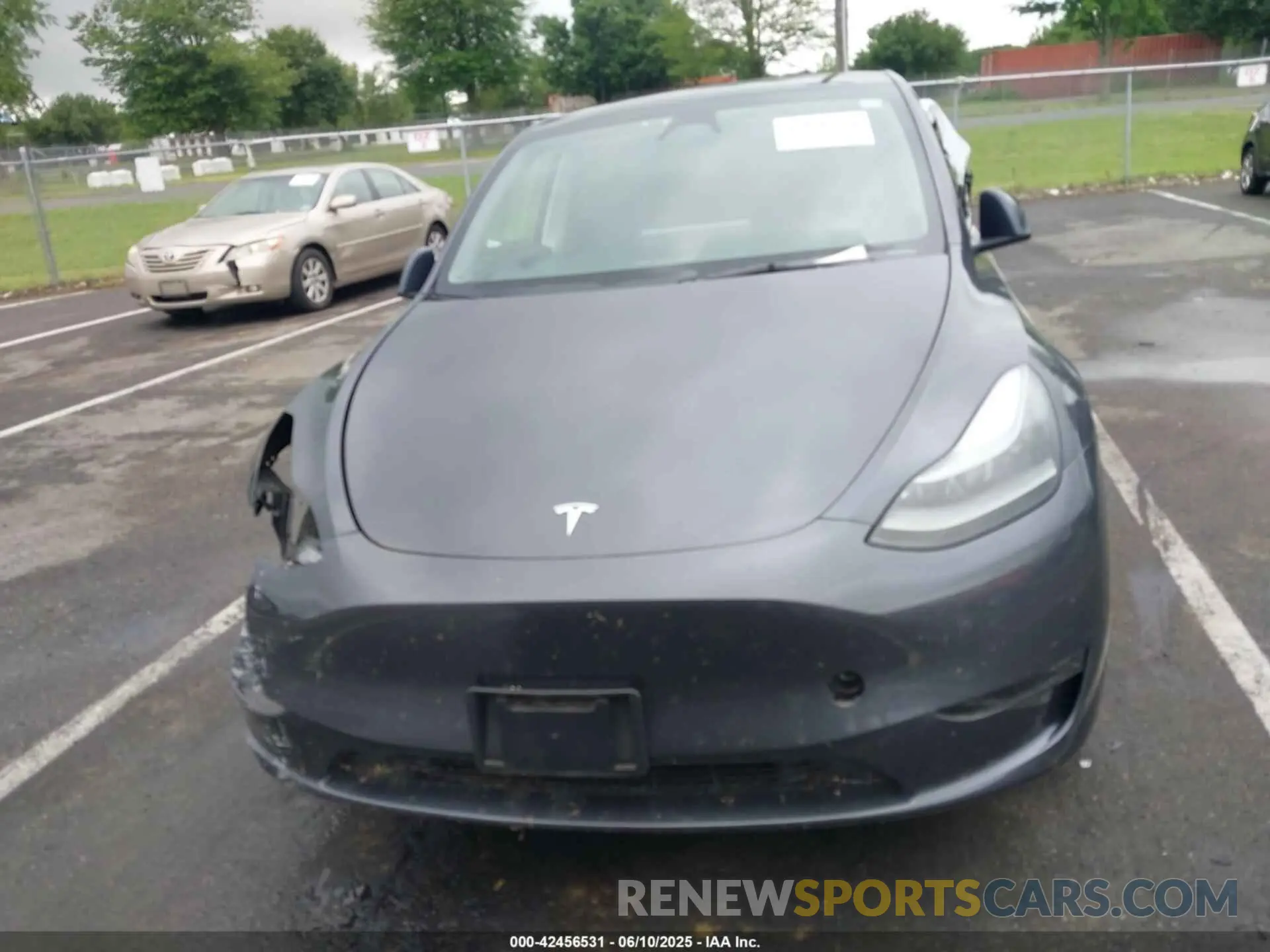 12 Photograph of a damaged car 7SAYGDEE1PF879016 TESLA MODEL Y 2023