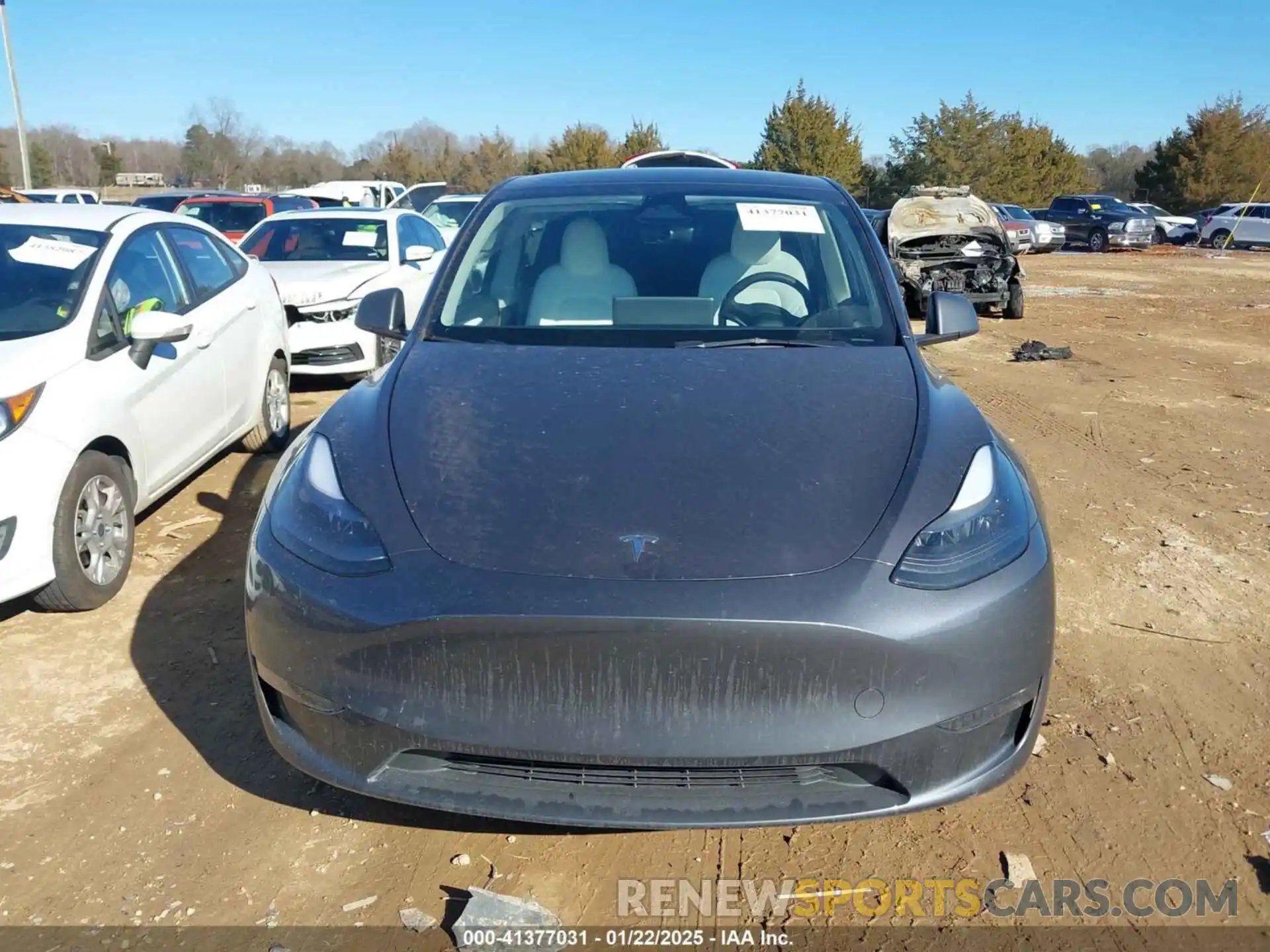 12 Photograph of a damaged car 7SAYGDEE1PF886371 TESLA MODEL Y 2023