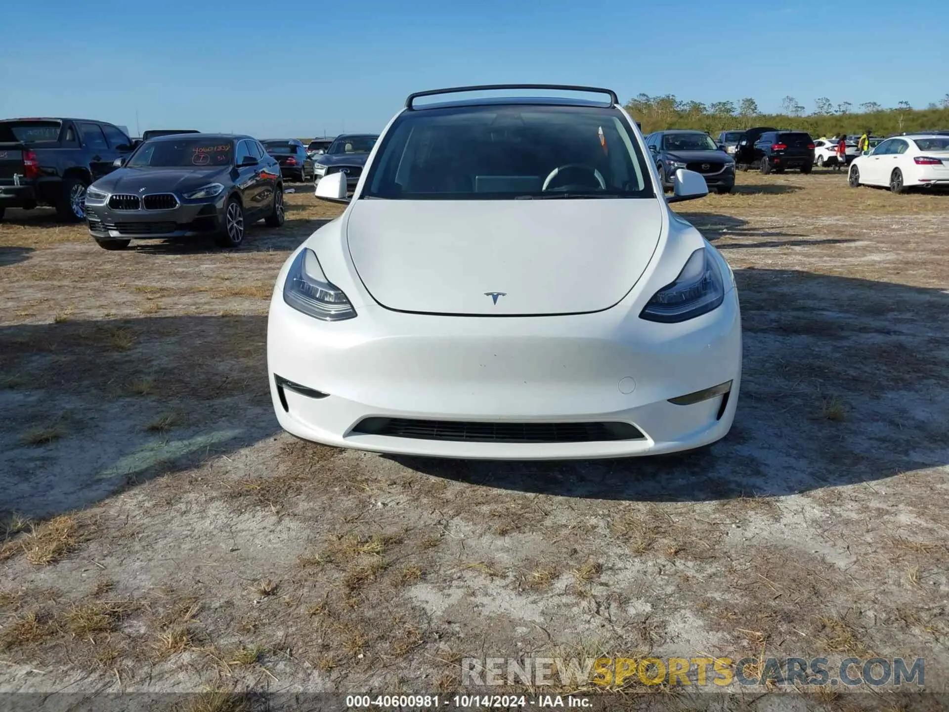 12 Photograph of a damaged car 7SAYGDEE2PA024869 TESLA MODEL Y 2023